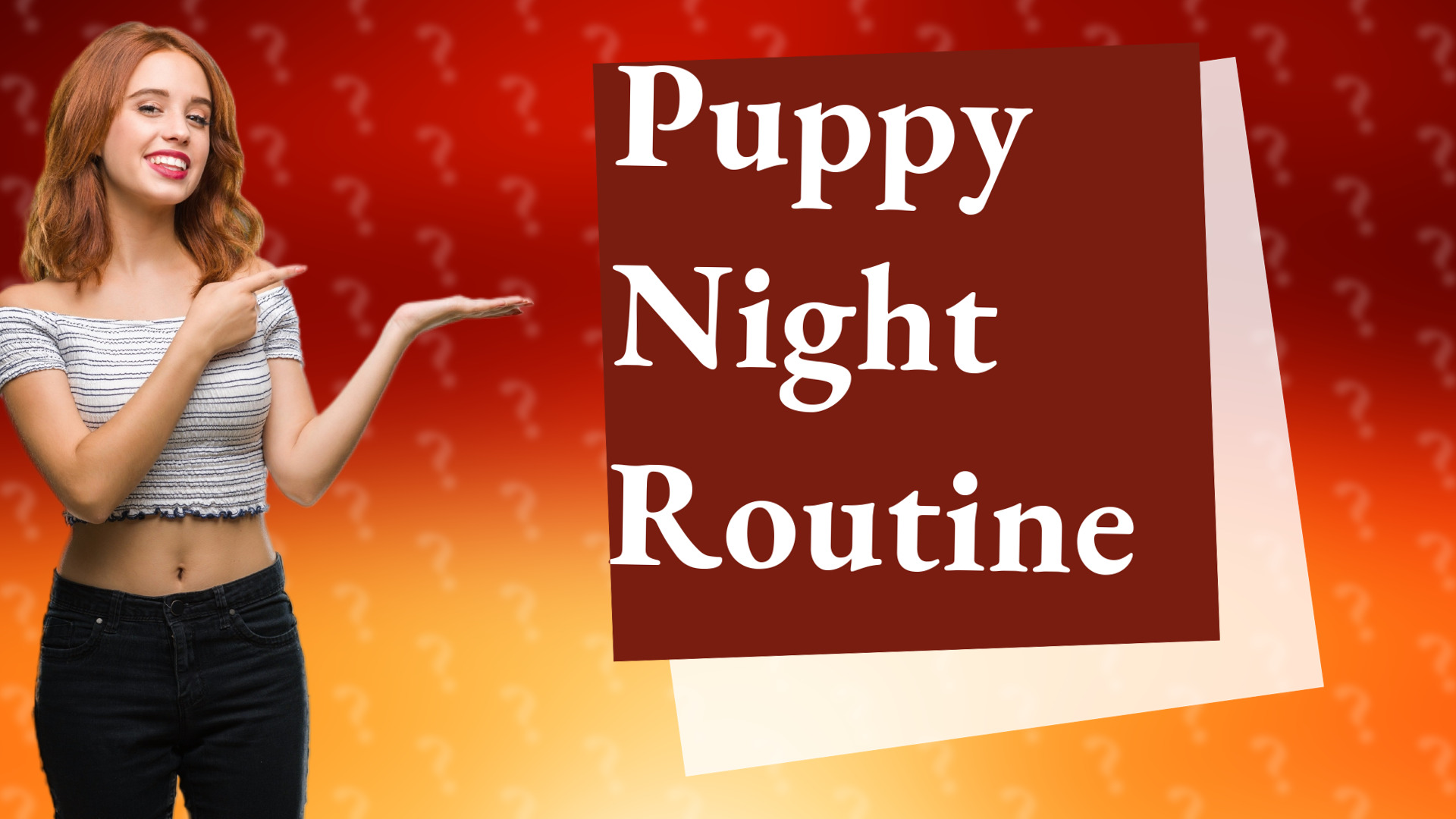 Puppy Night Routine