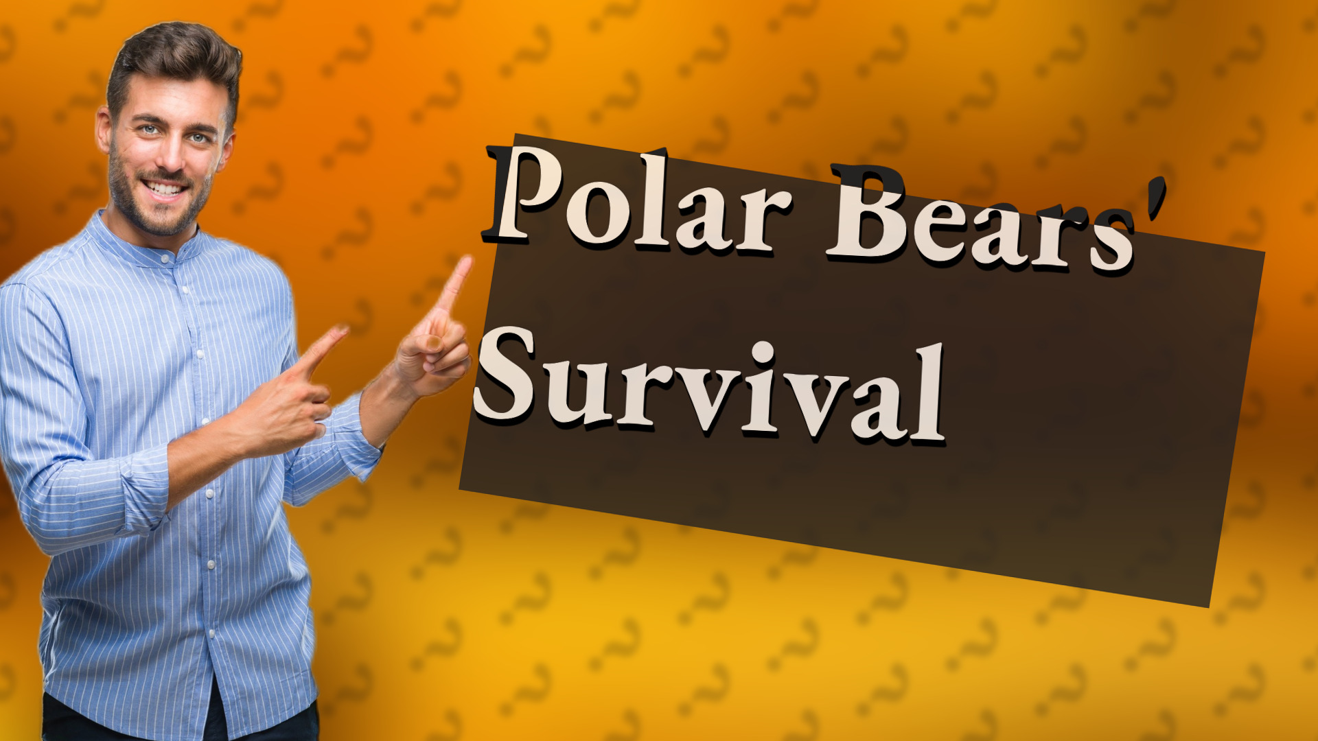 Polar Bears' Survival