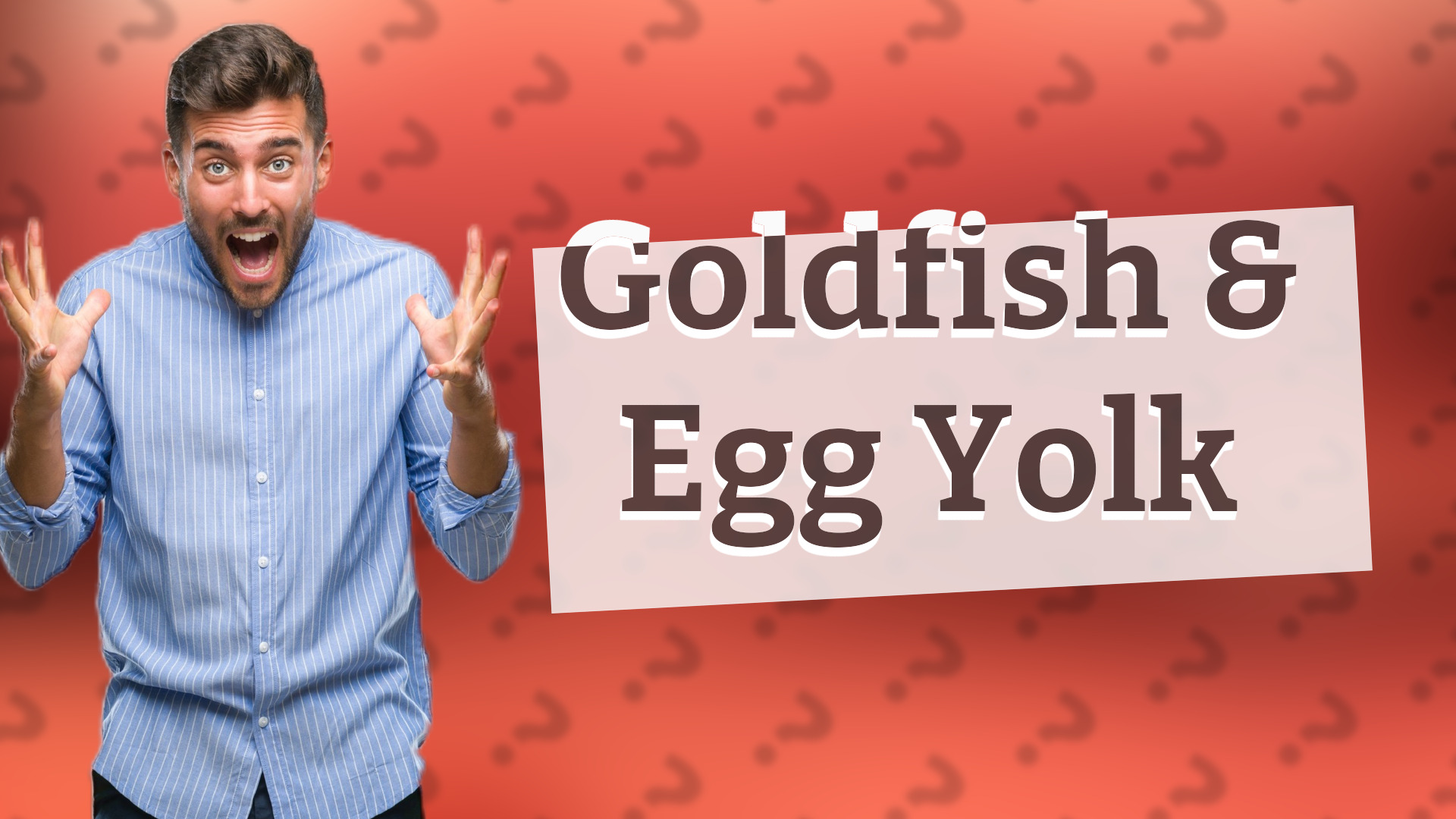 Goldfish & Egg Yolk