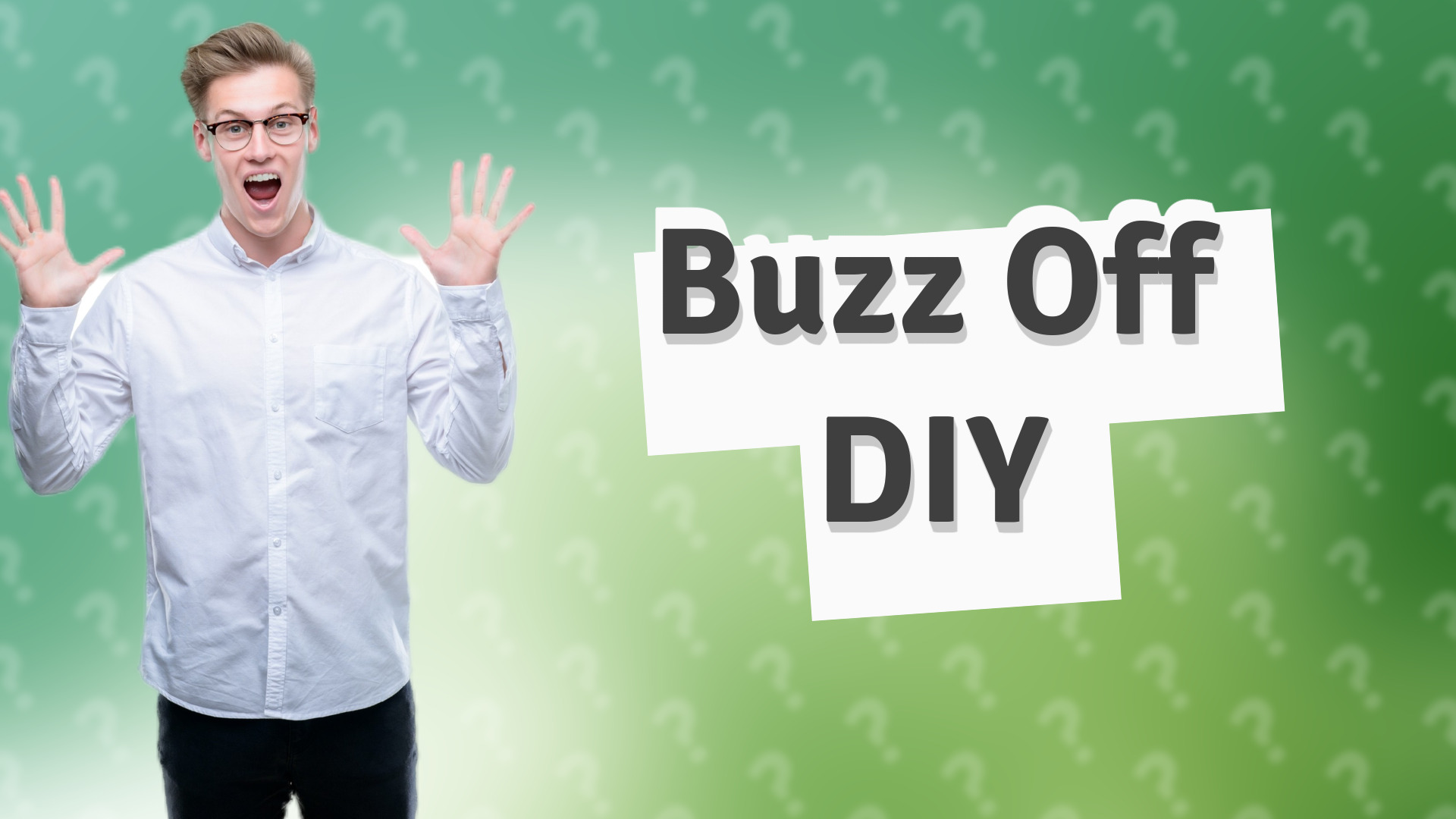 Buzz Off DIY