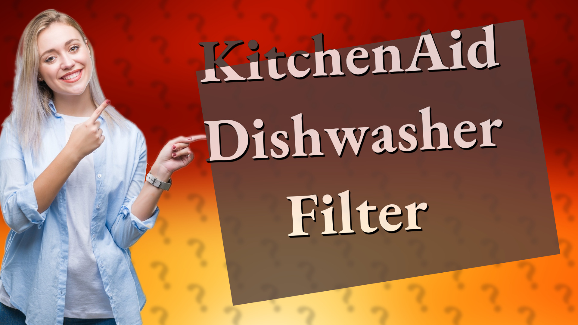 KitchenAid Dishwasher Filter