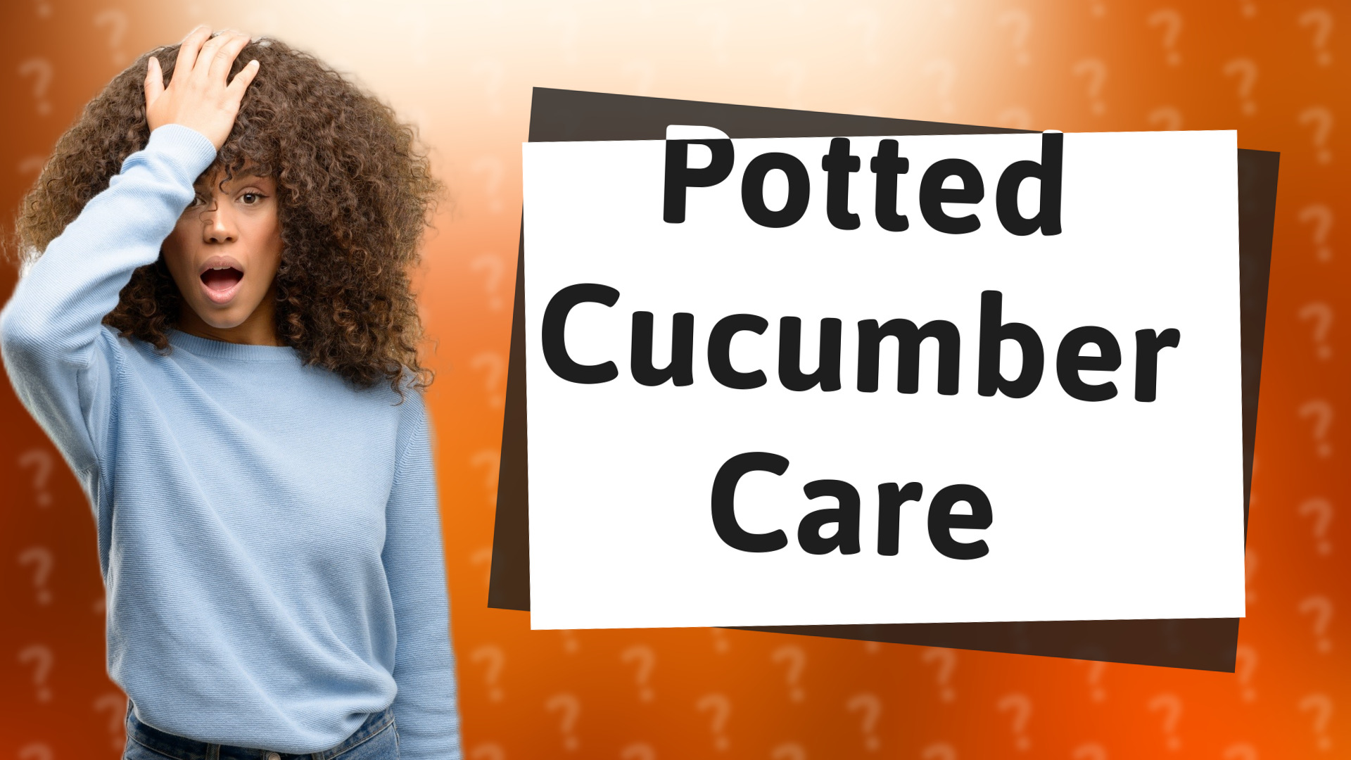 Potted Cucumber Care