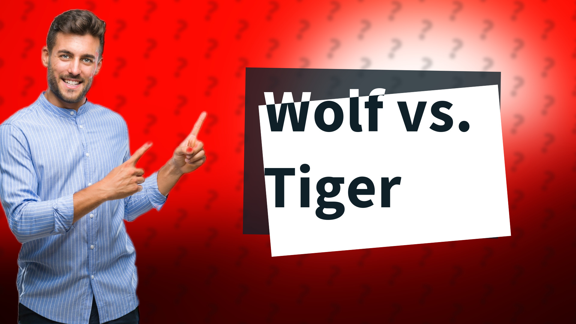 Wolf vs. Tiger