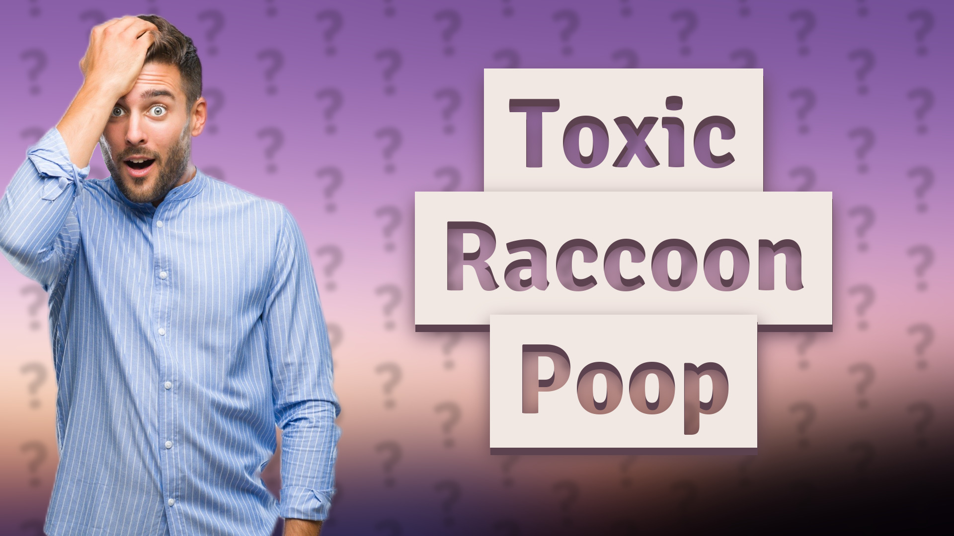 Toxic Raccoon Poop