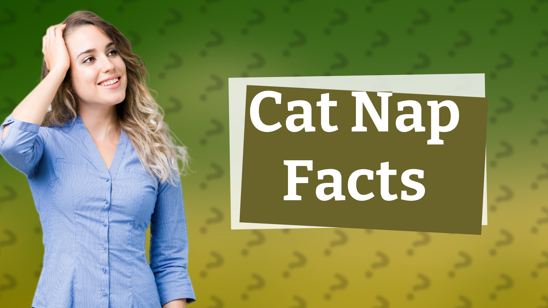 Cat Nap Facts