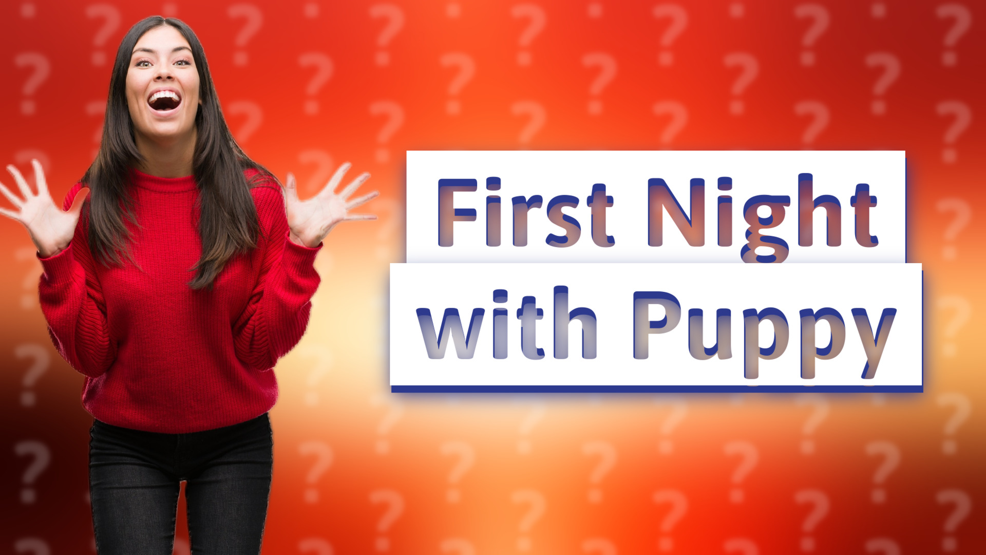 First Night with Puppy