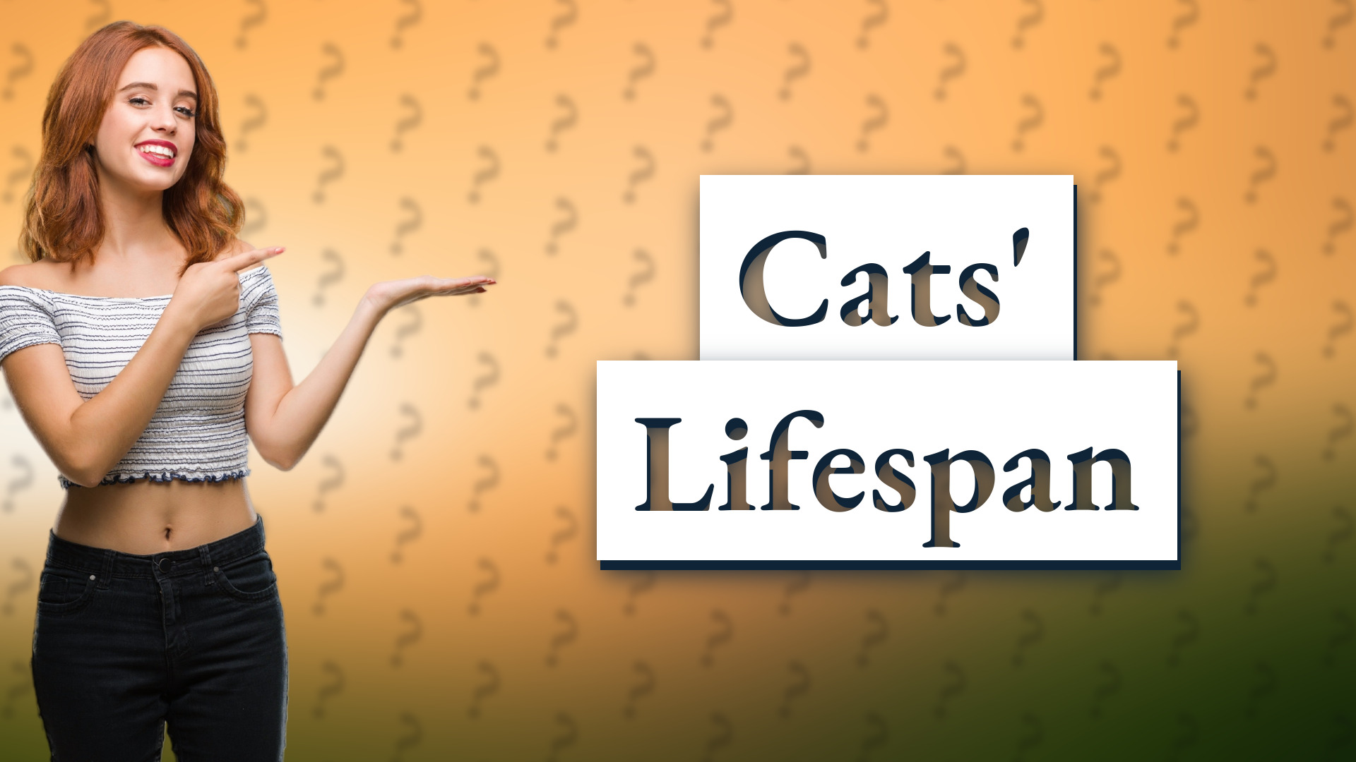 Cats' Lifespan