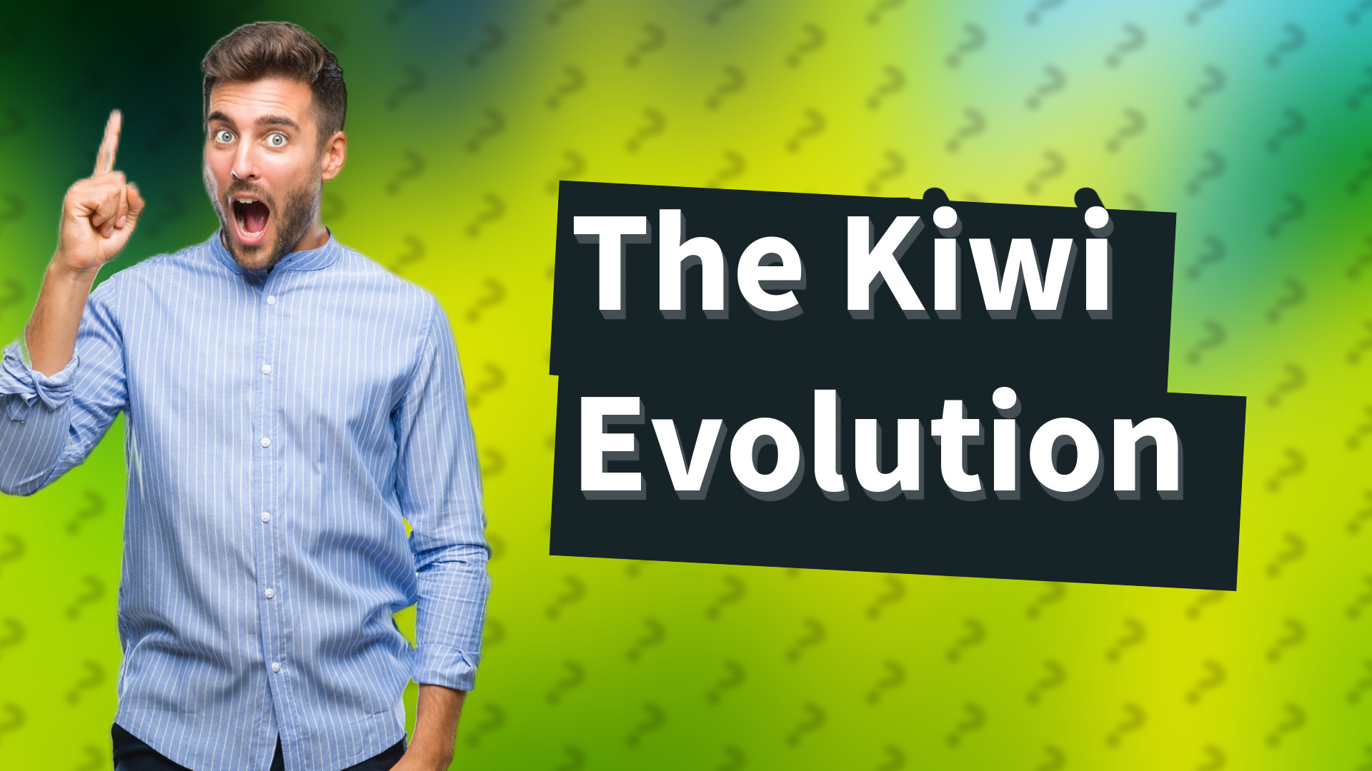 The Kiwi Evolution