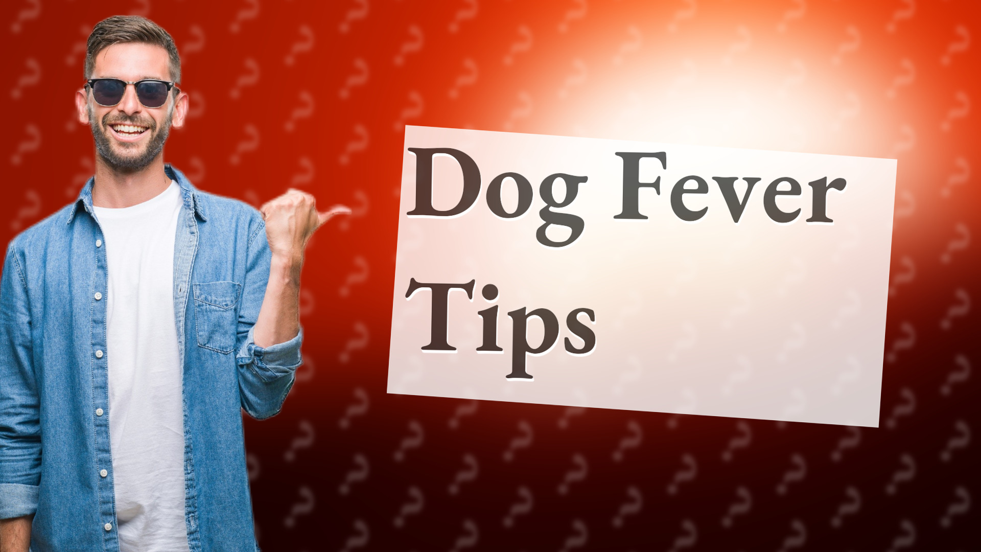 Dog Fever Tips