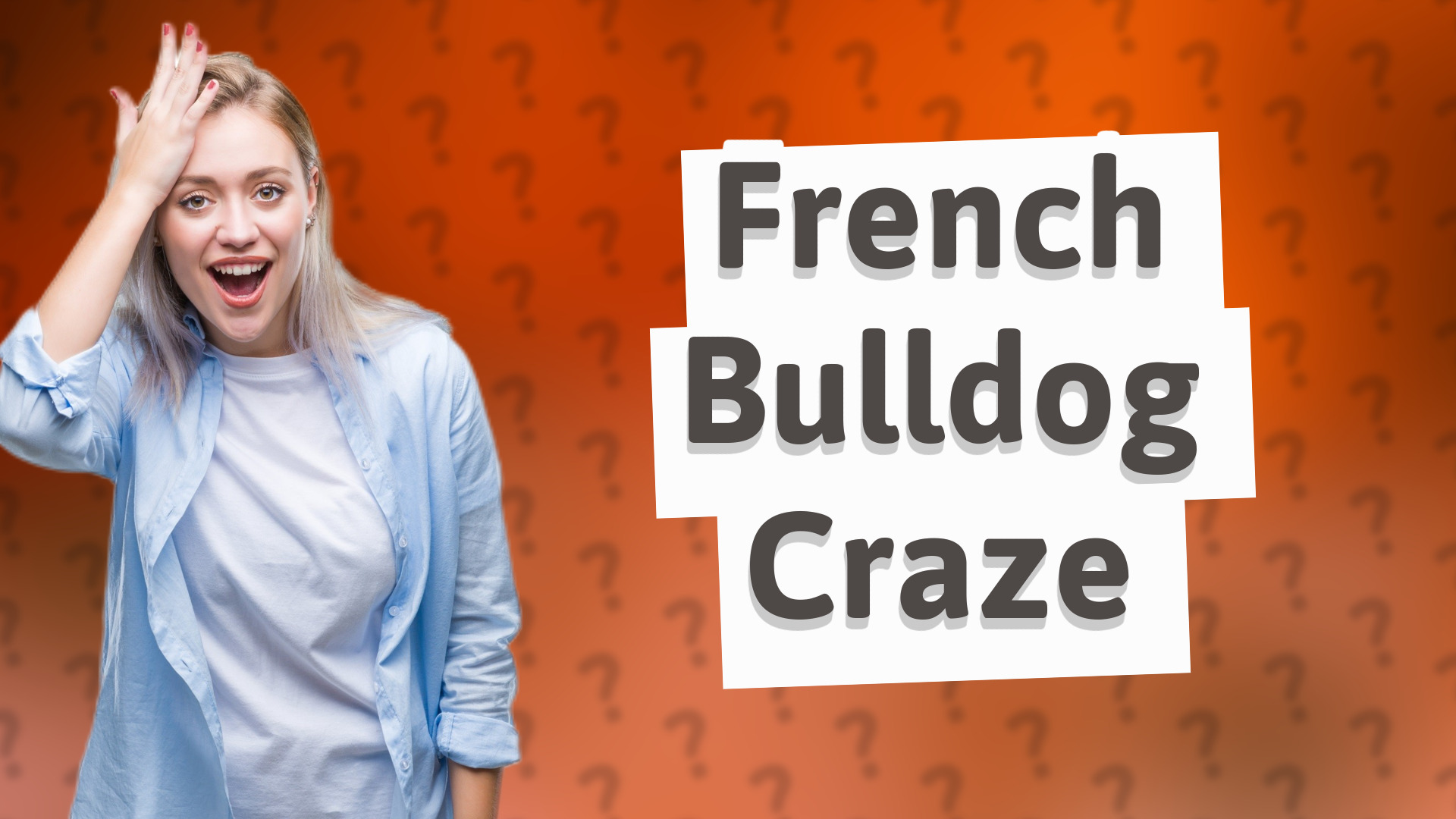 French Bulldog Craze