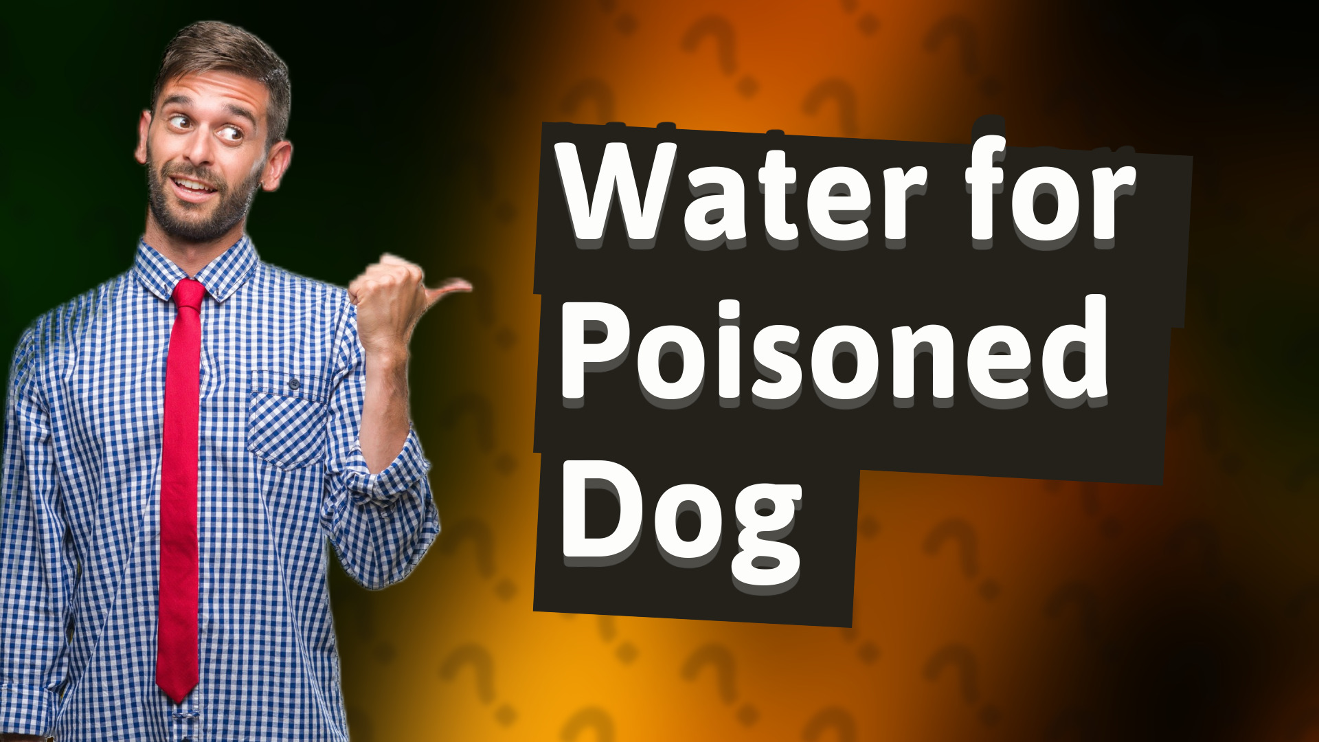 Water for Poisoned Dog