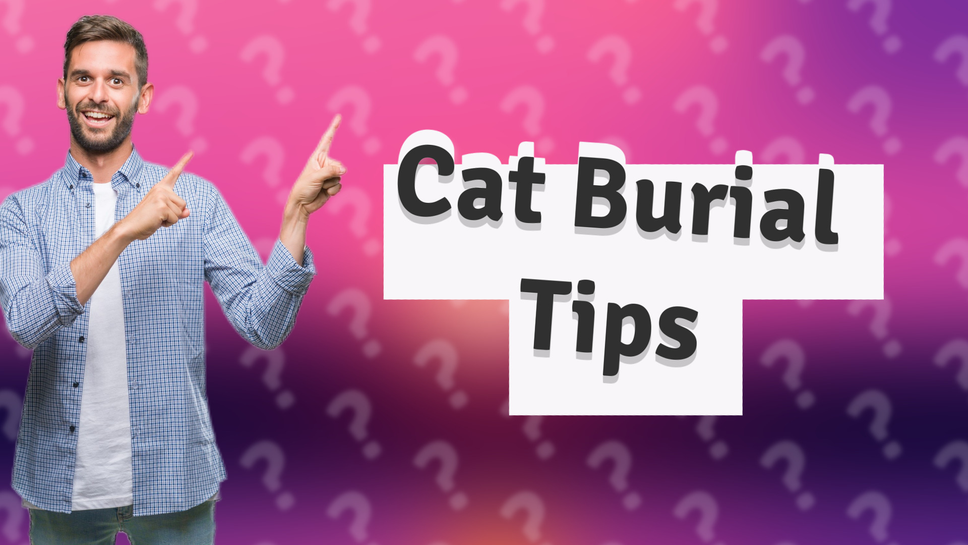 Cat Burial Tips