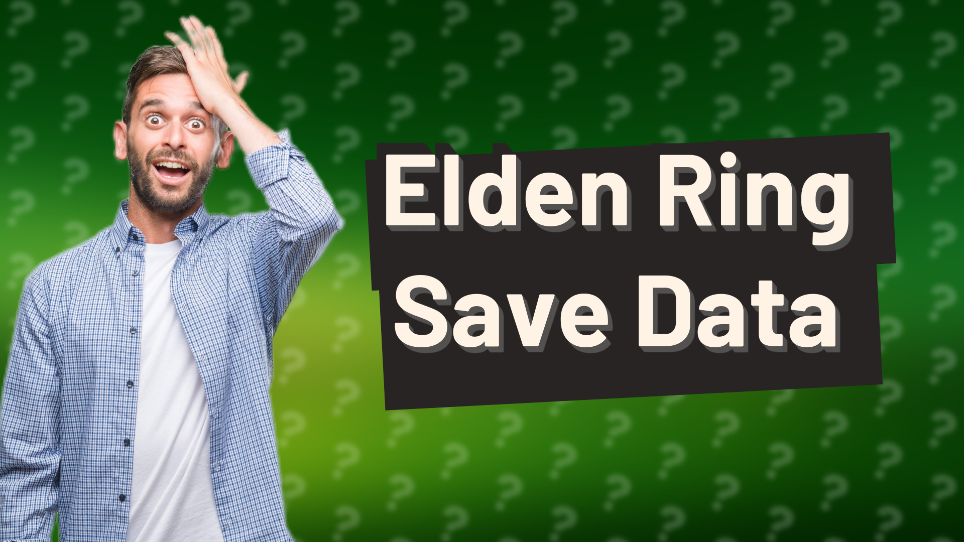 Elden Ring Save Data