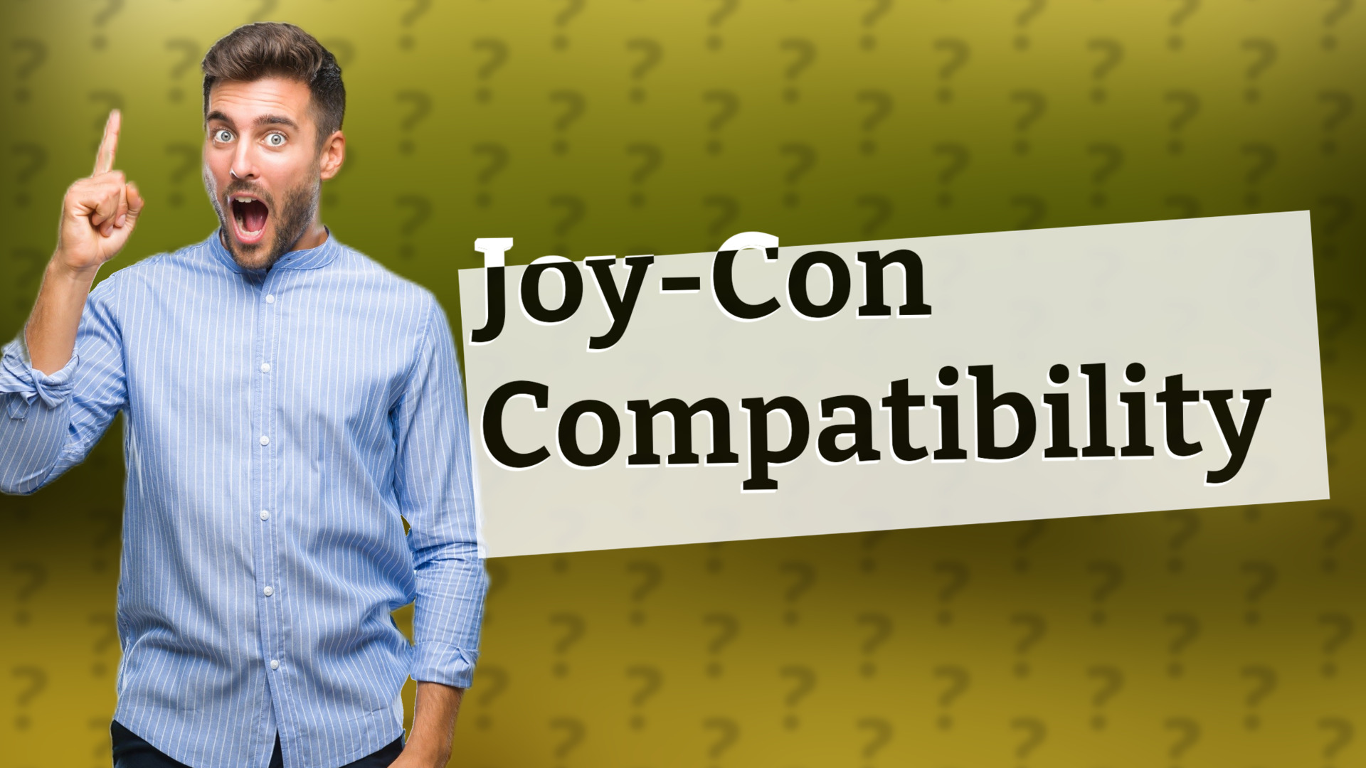 Joy-Con Compatibility