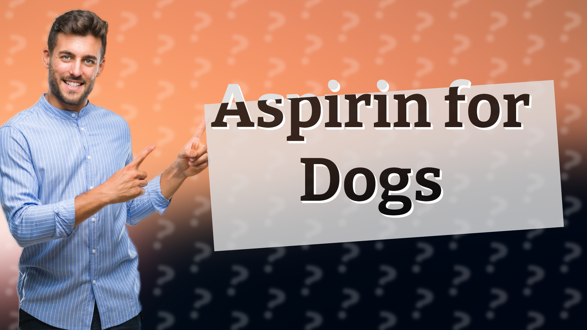 Aspirin for Dogs
