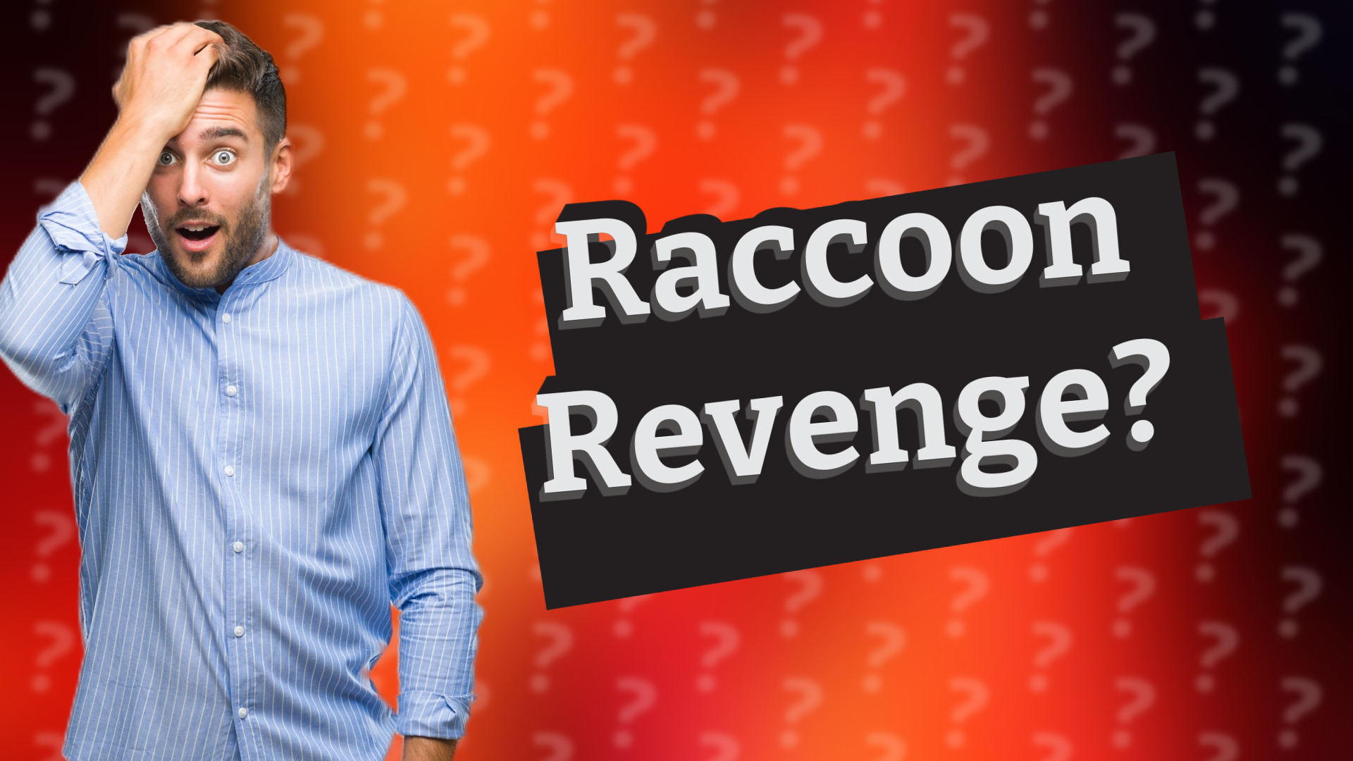 Raccoon Revenge?