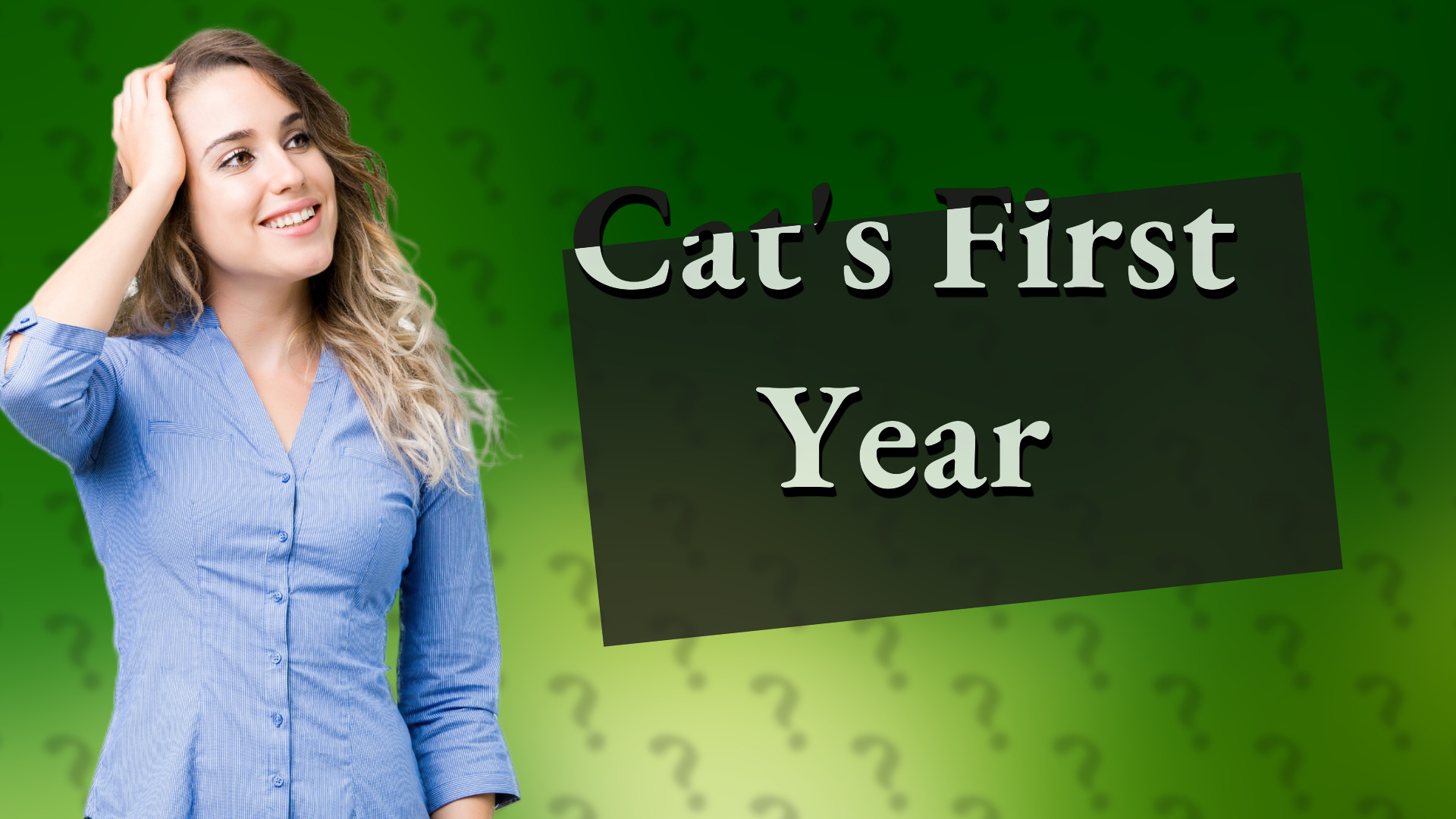 Cat's First Year