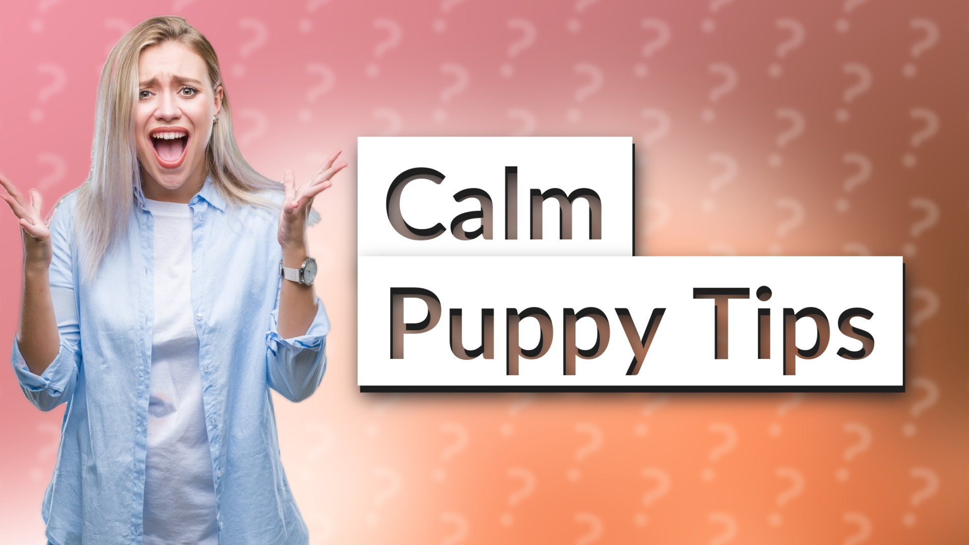 Calm Puppy Tips