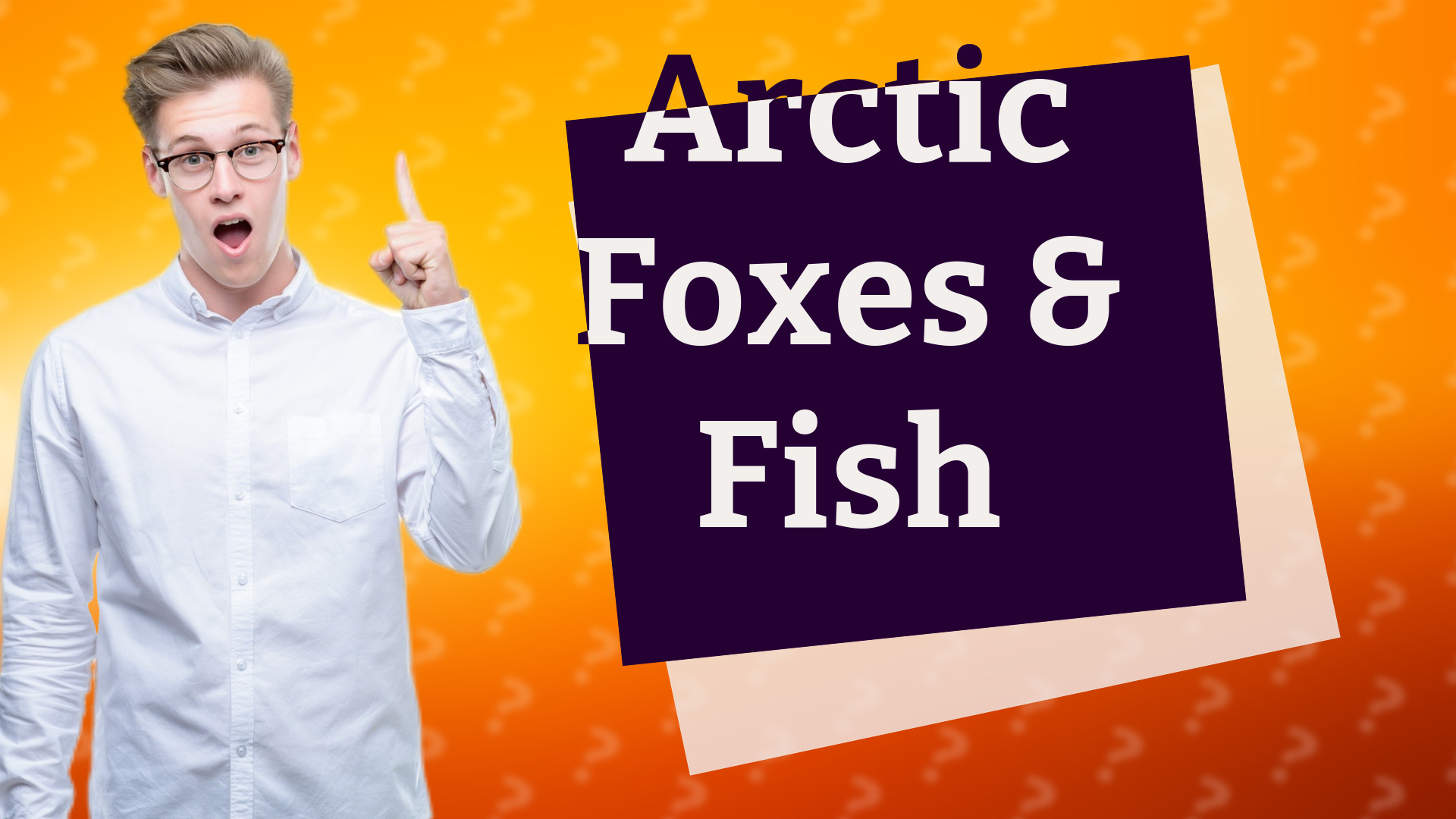 Arctic Foxes & Fish