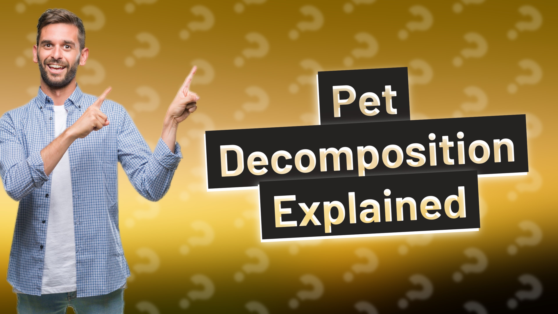 Pet Decomposition Explained