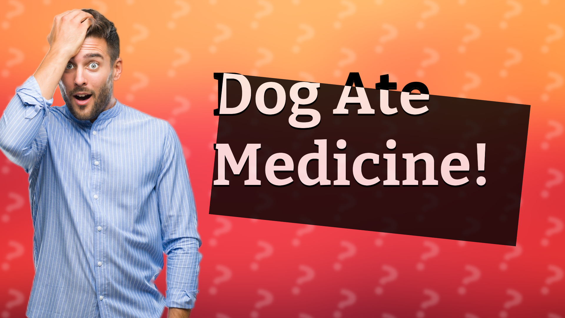 Dog Ate Medicine!