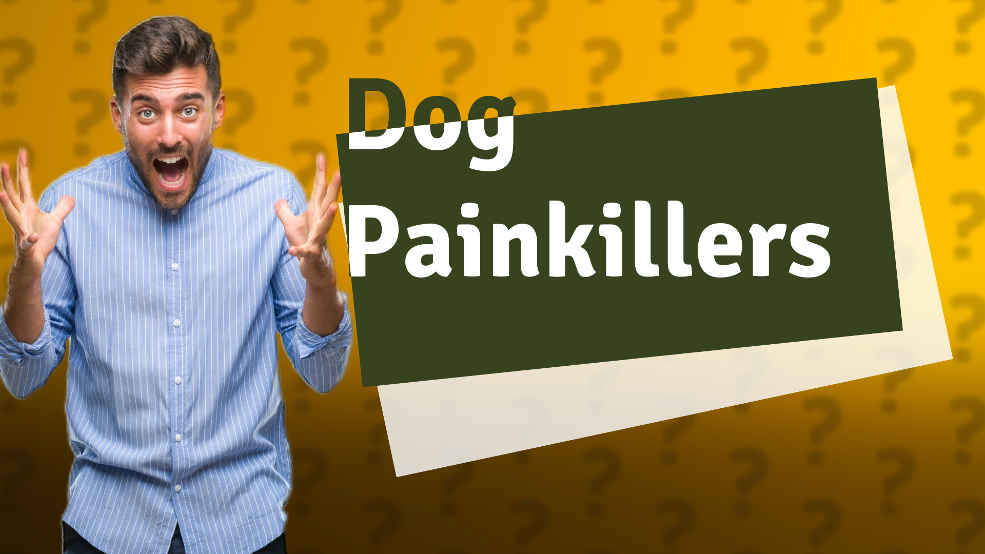 Dog Painkillers