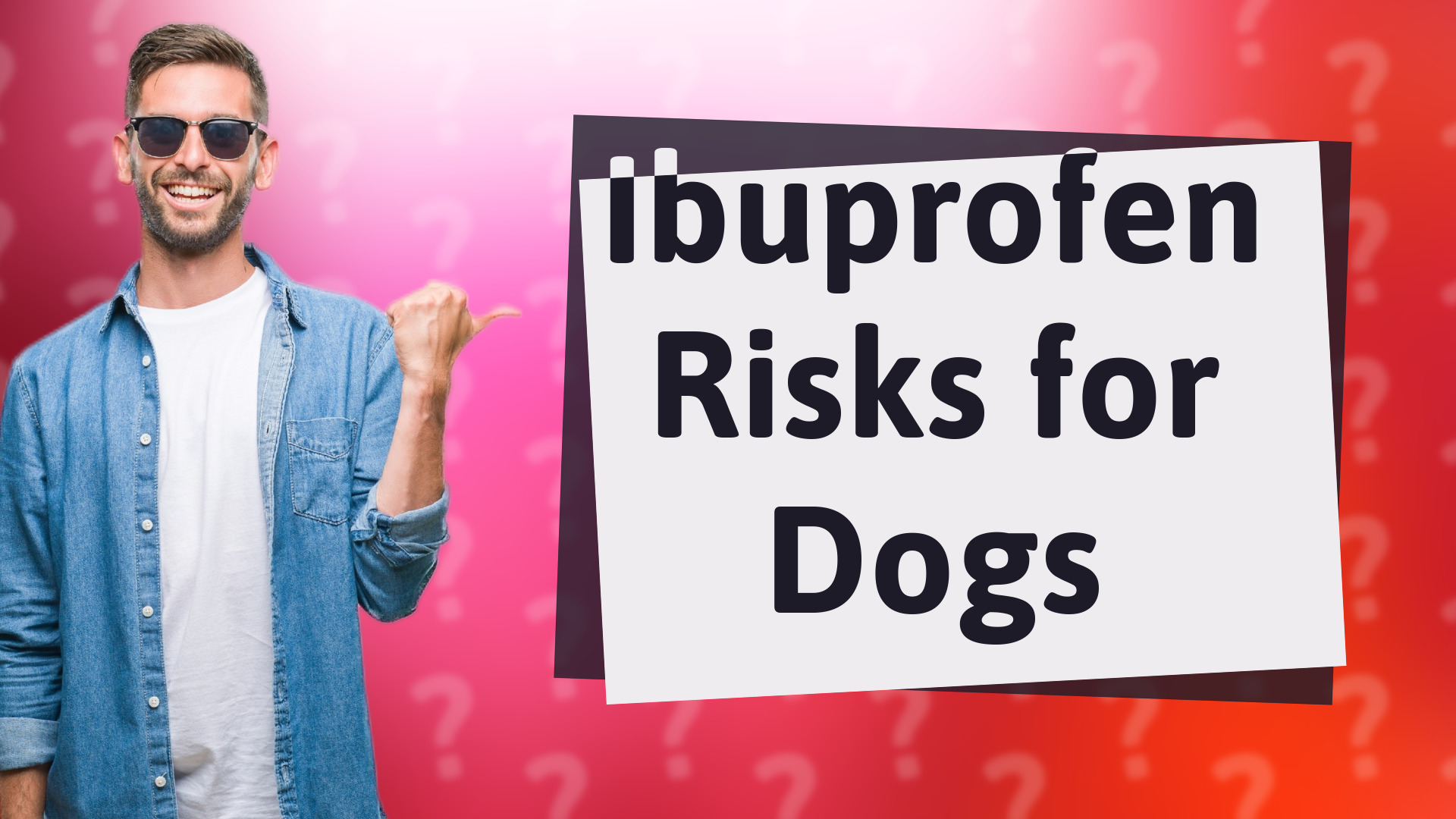 Ibuprofen Risks for Dogs