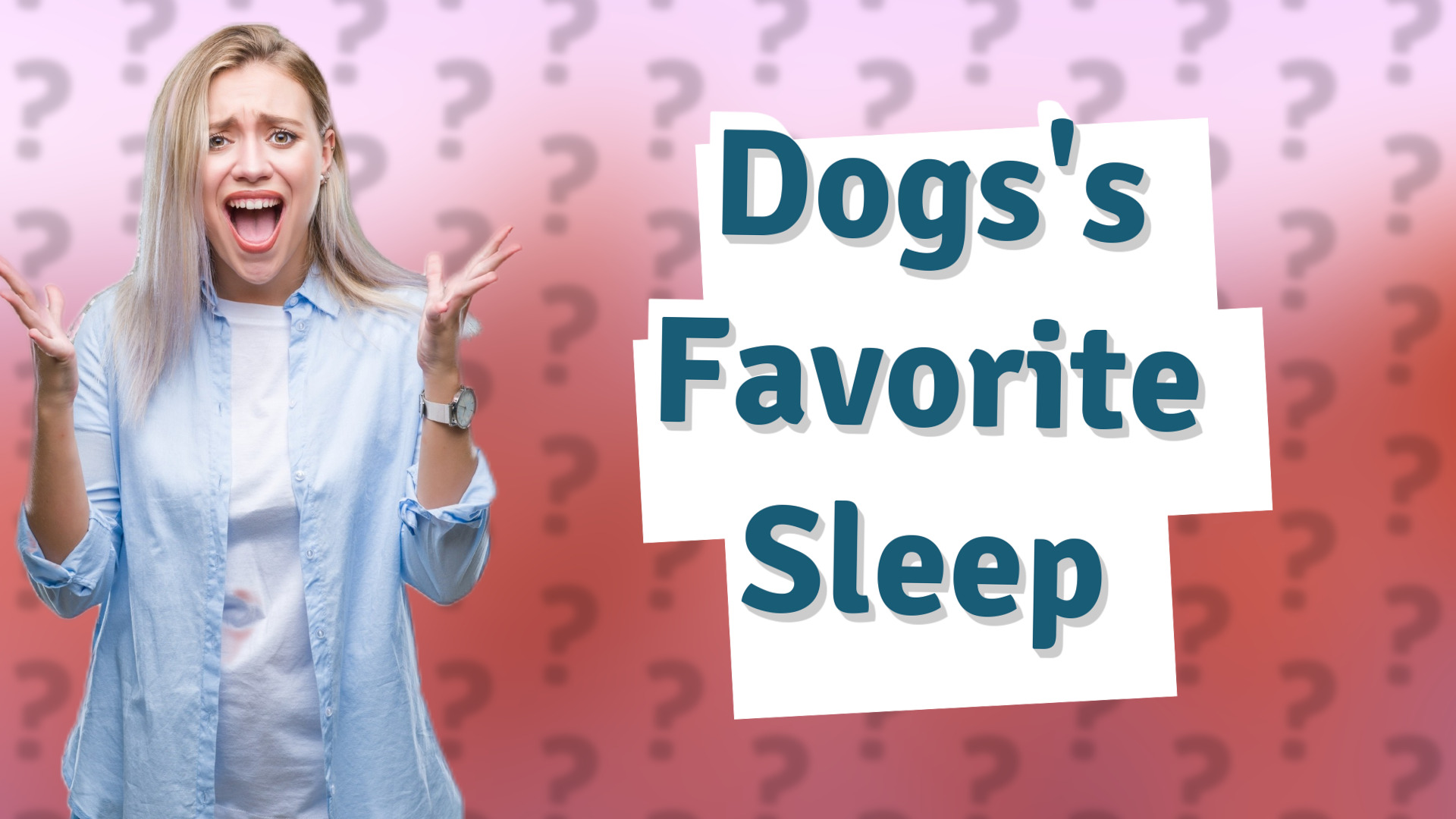 Dogs's Favorite Sleep