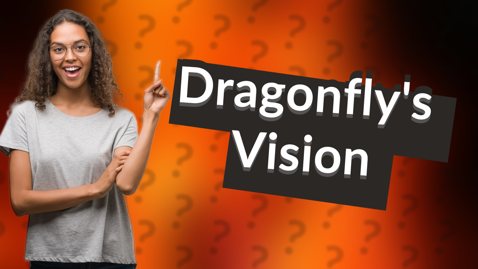 Dragonfly's Vision