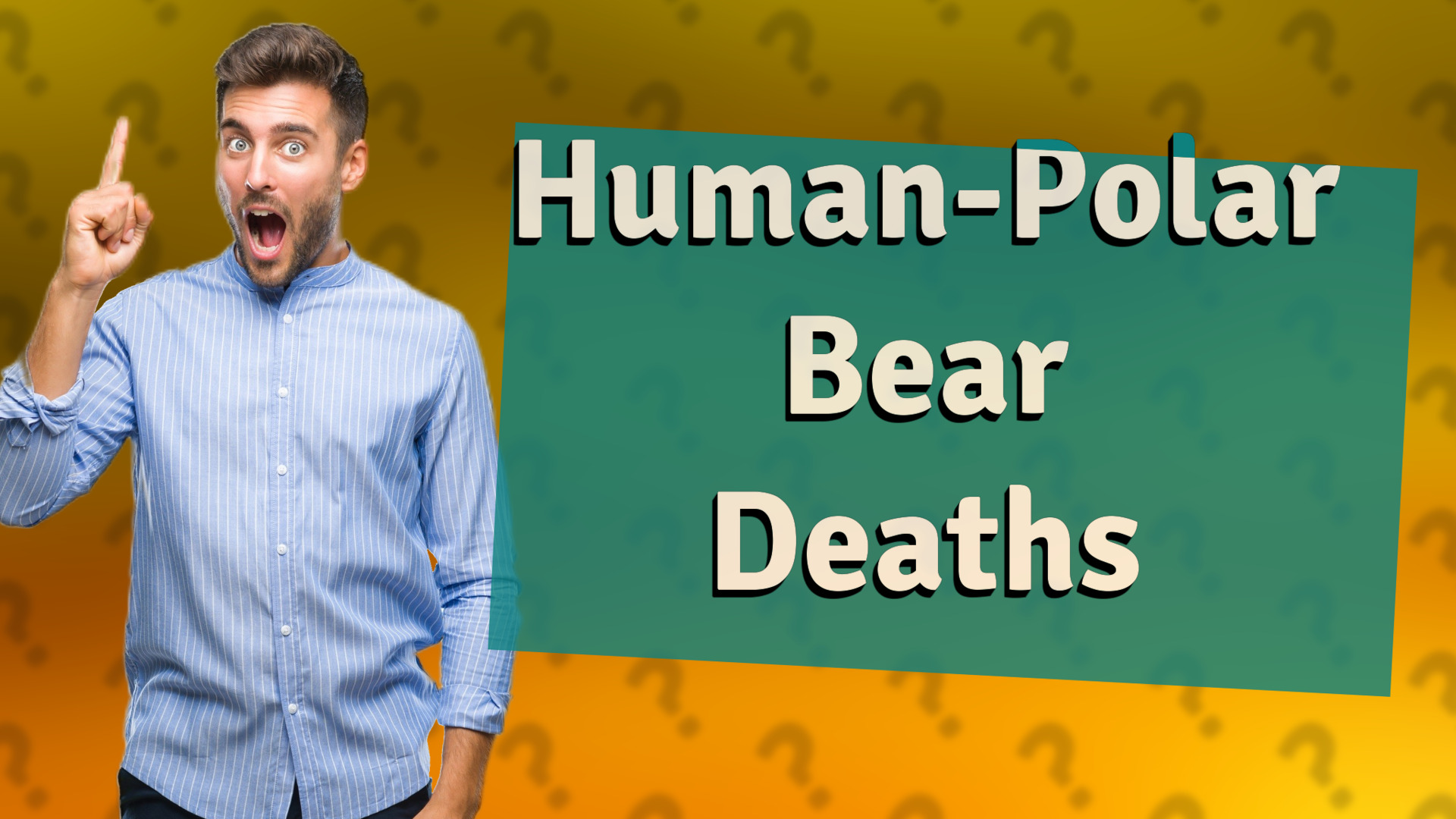Human-Polar Bear Deaths