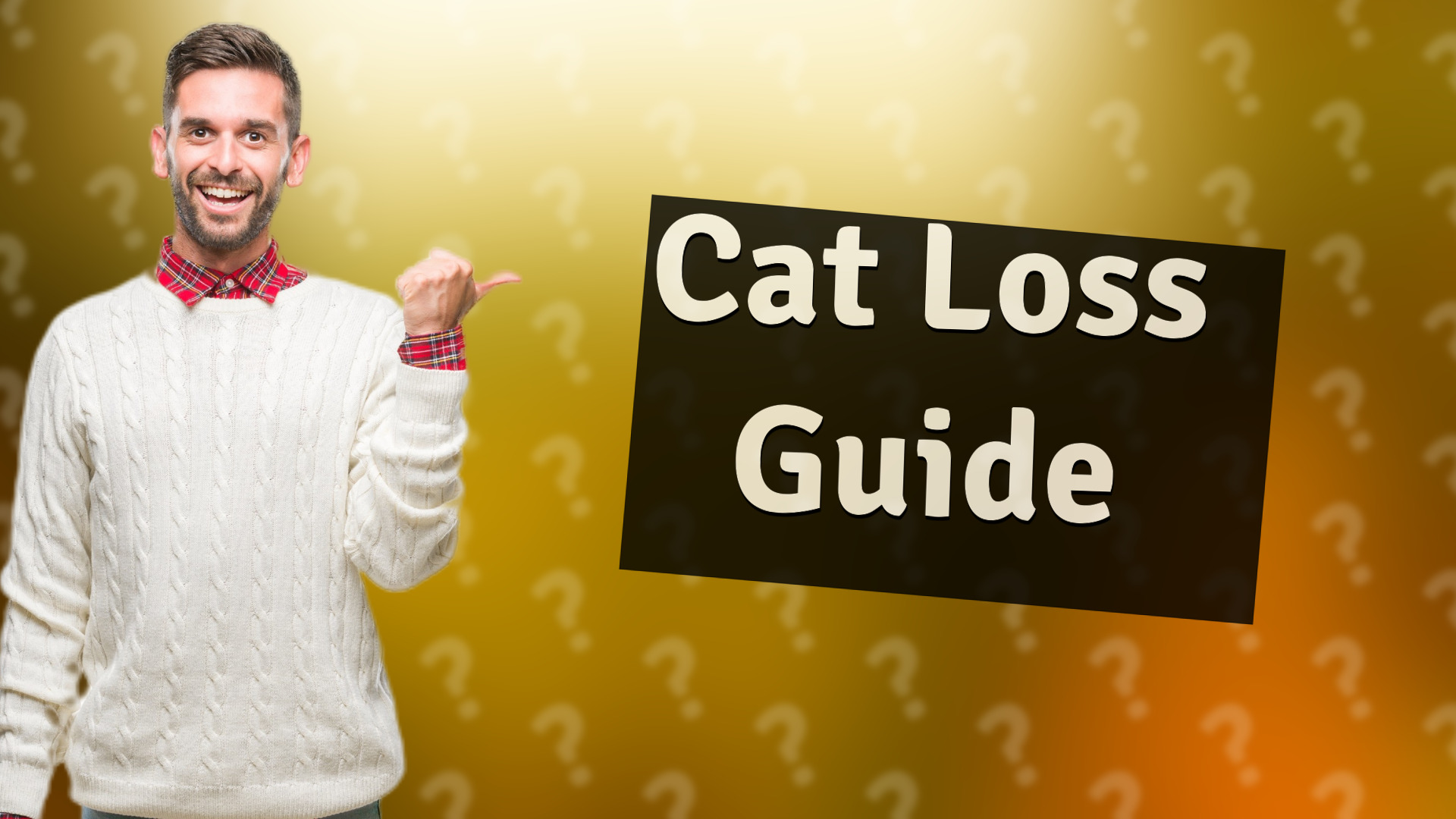 Cat Loss Guide