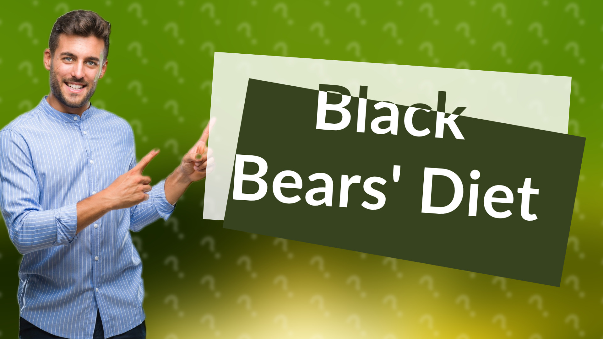 Black Bears' Diet