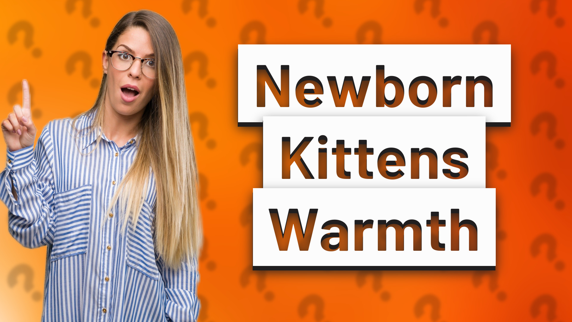 Newborn Kittens Warmth