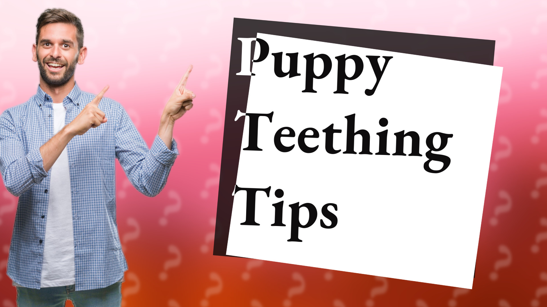 Puppy Teething Tips