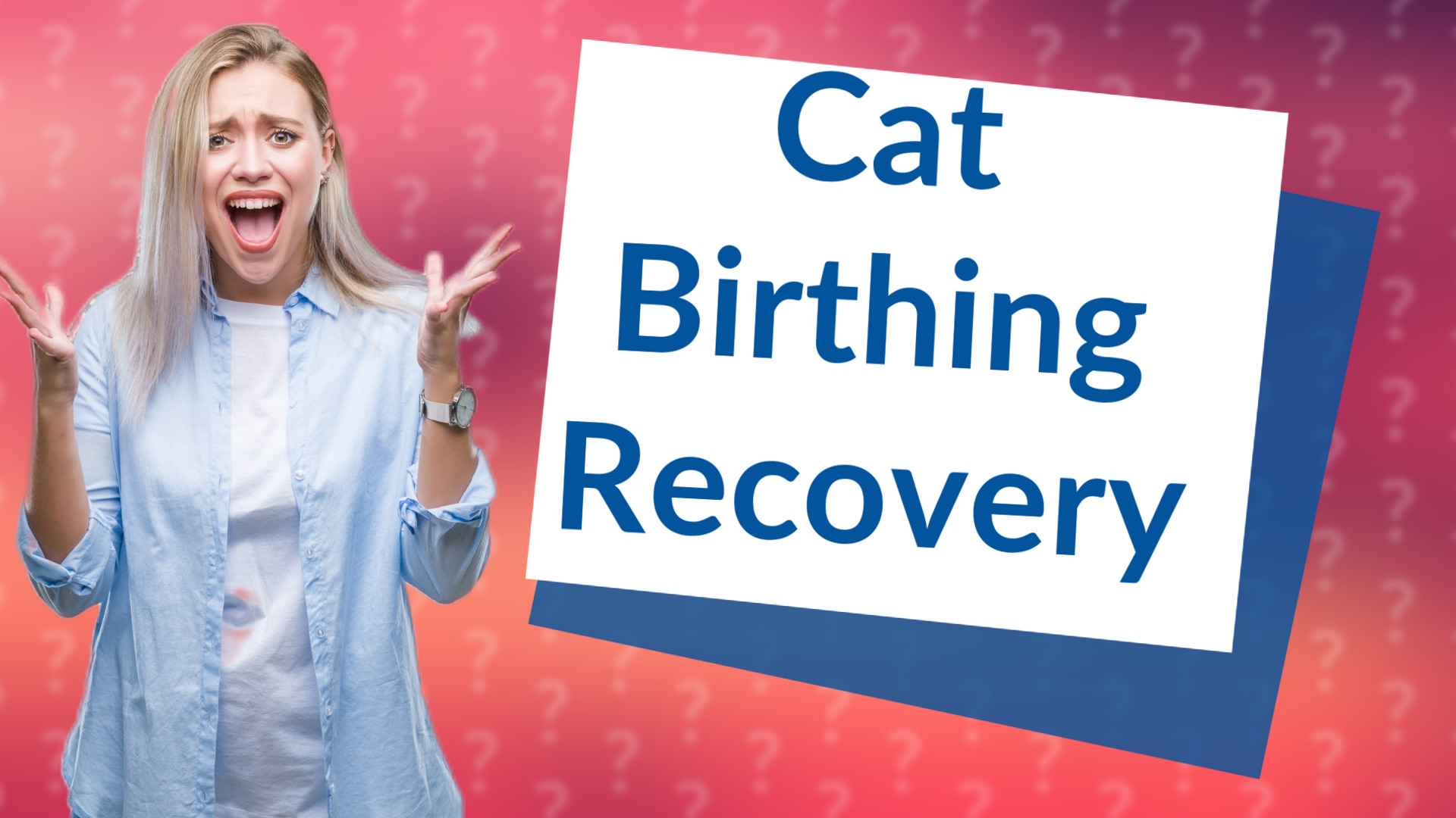 Cat Birthing Recovery