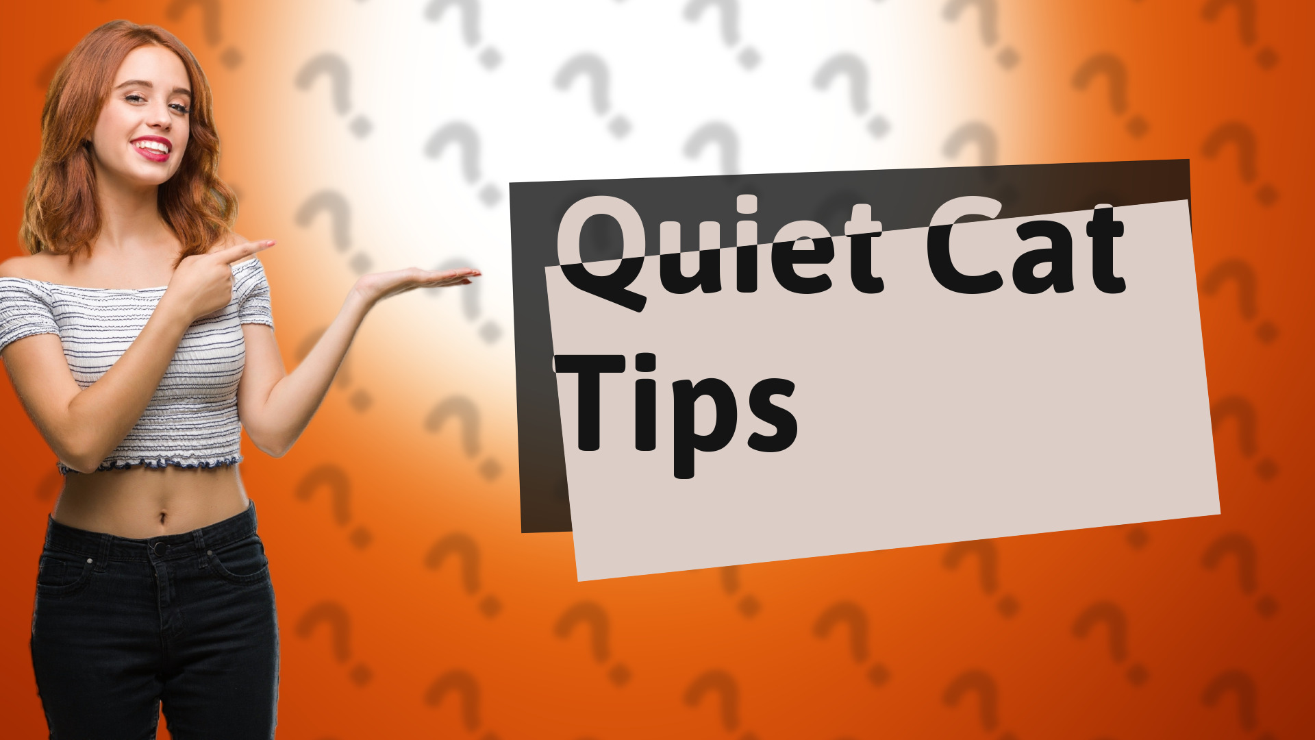 Quiet Cat Tips