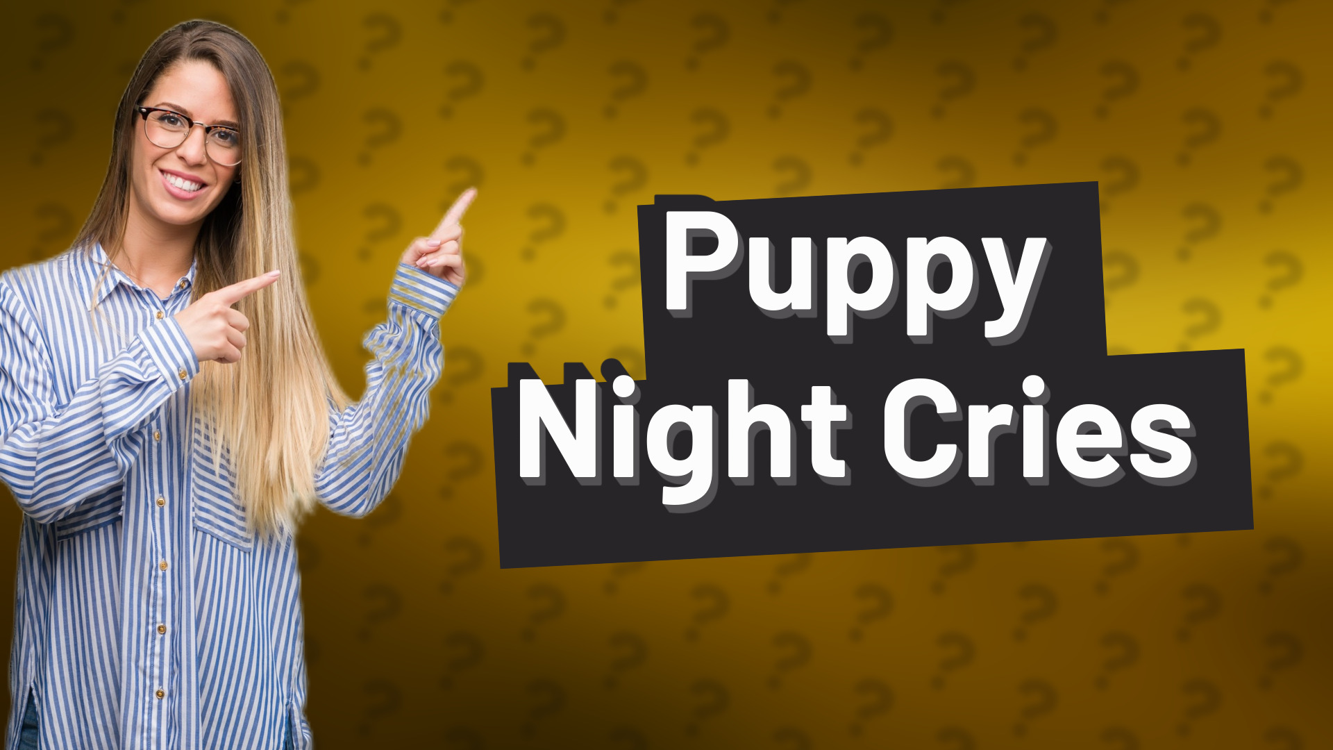 Puppy Night Cries