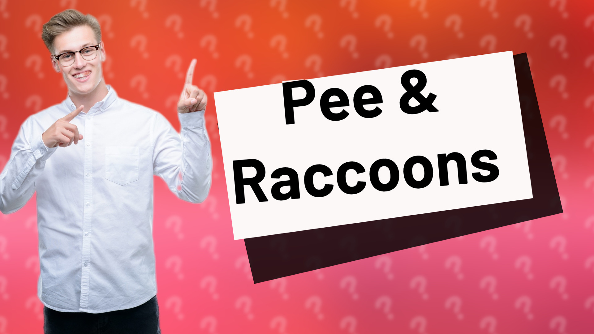 Pee & Raccoons
