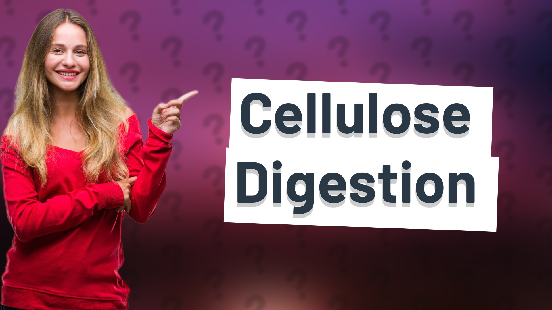 Cellulose Digestion