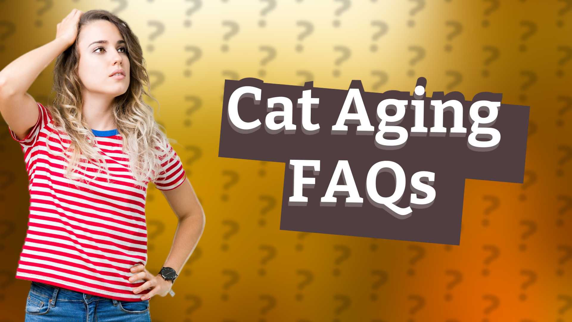 Cat Aging FAQs