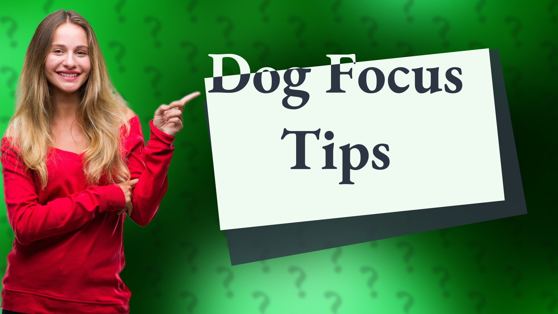 Dog Focus Tips