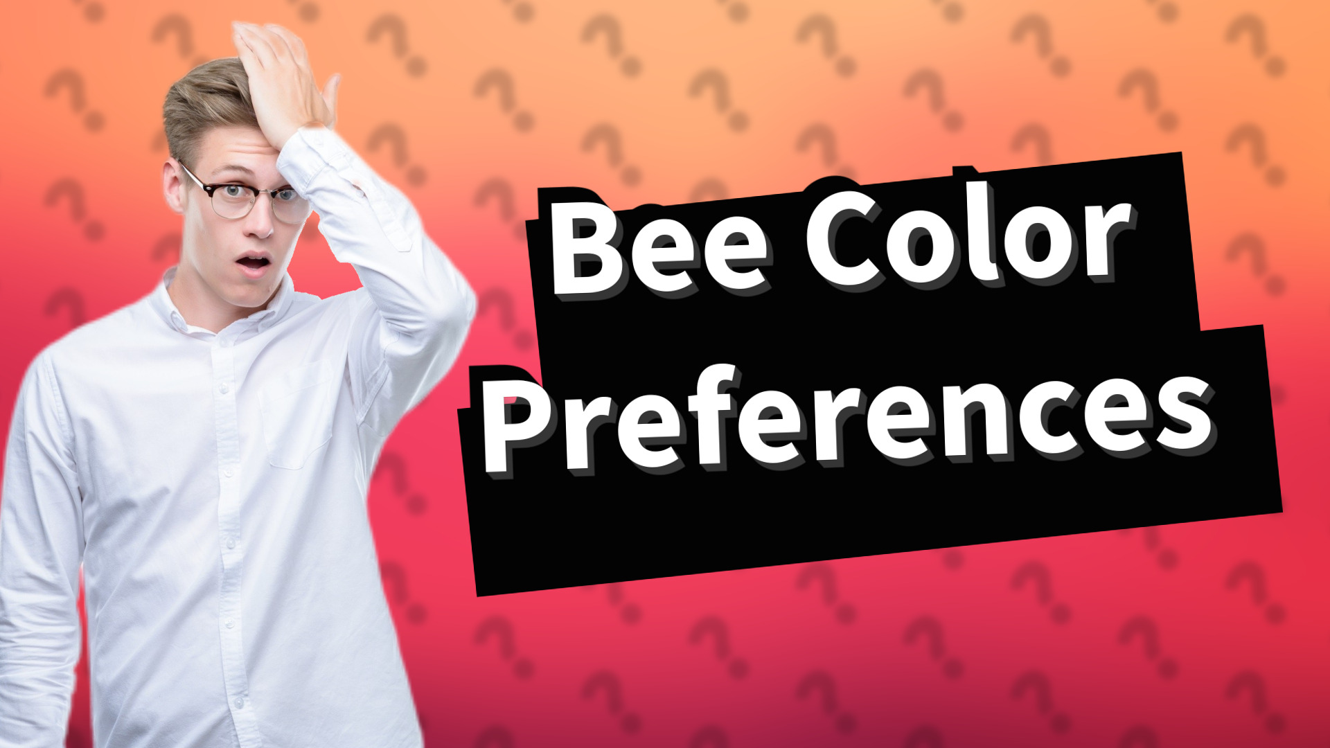 Bee Color Preferences