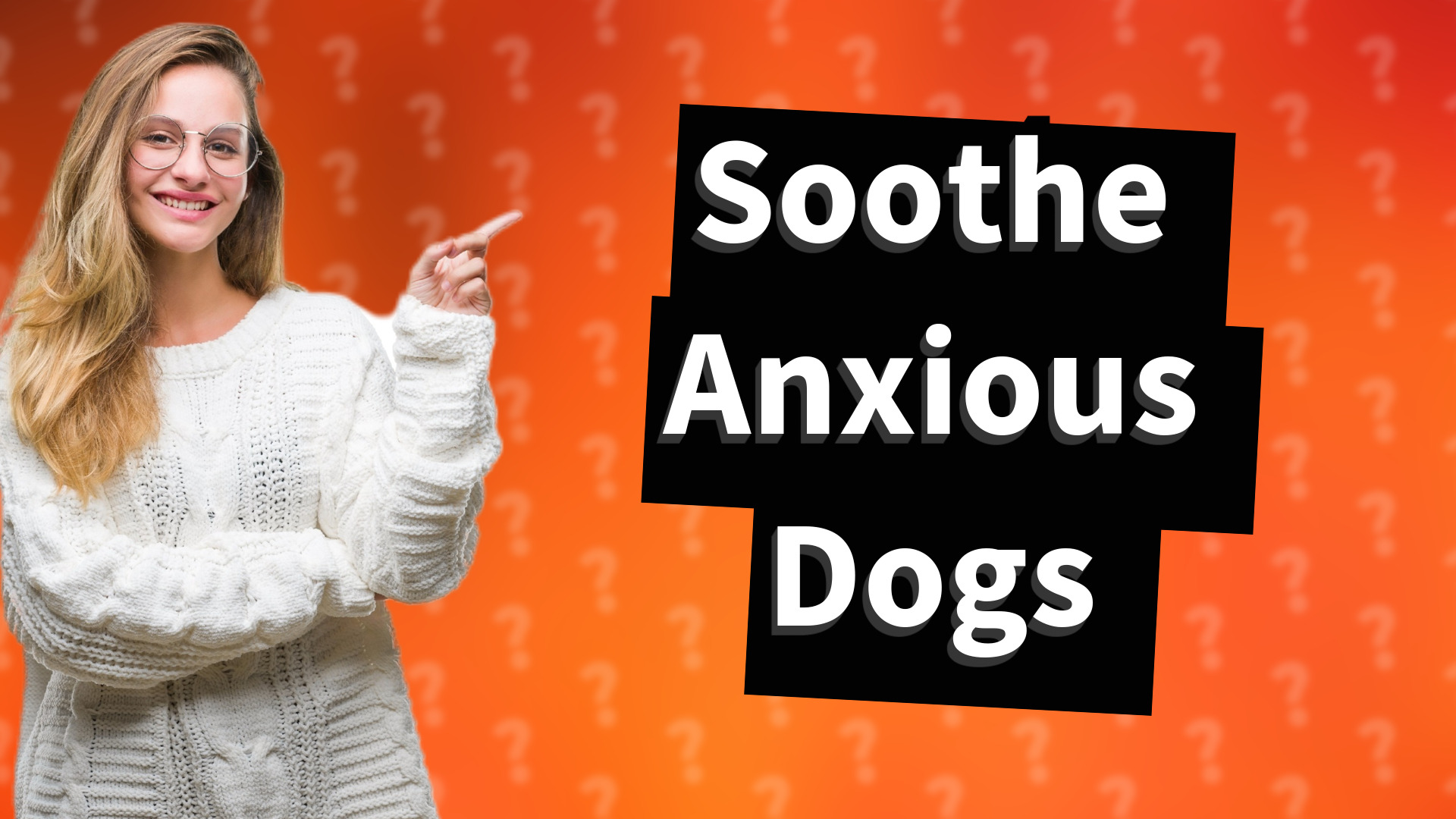 Soothe Anxious Dogs