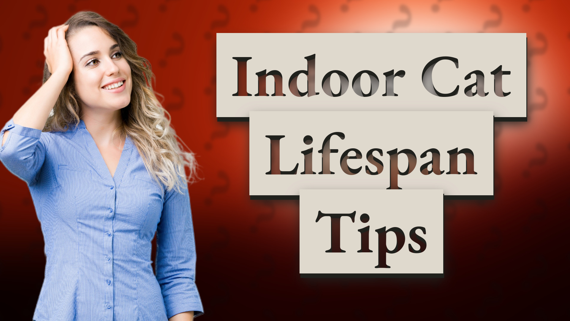 Indoor Cat Lifespan Tips