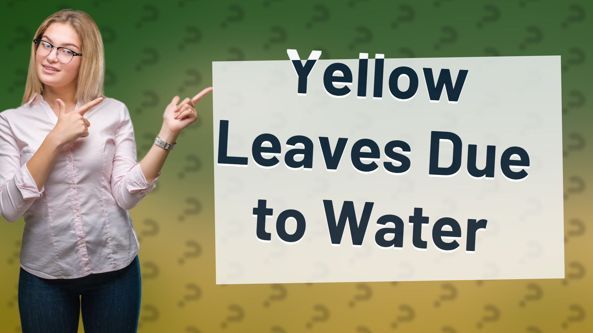 Yellow Leaves Due to Water