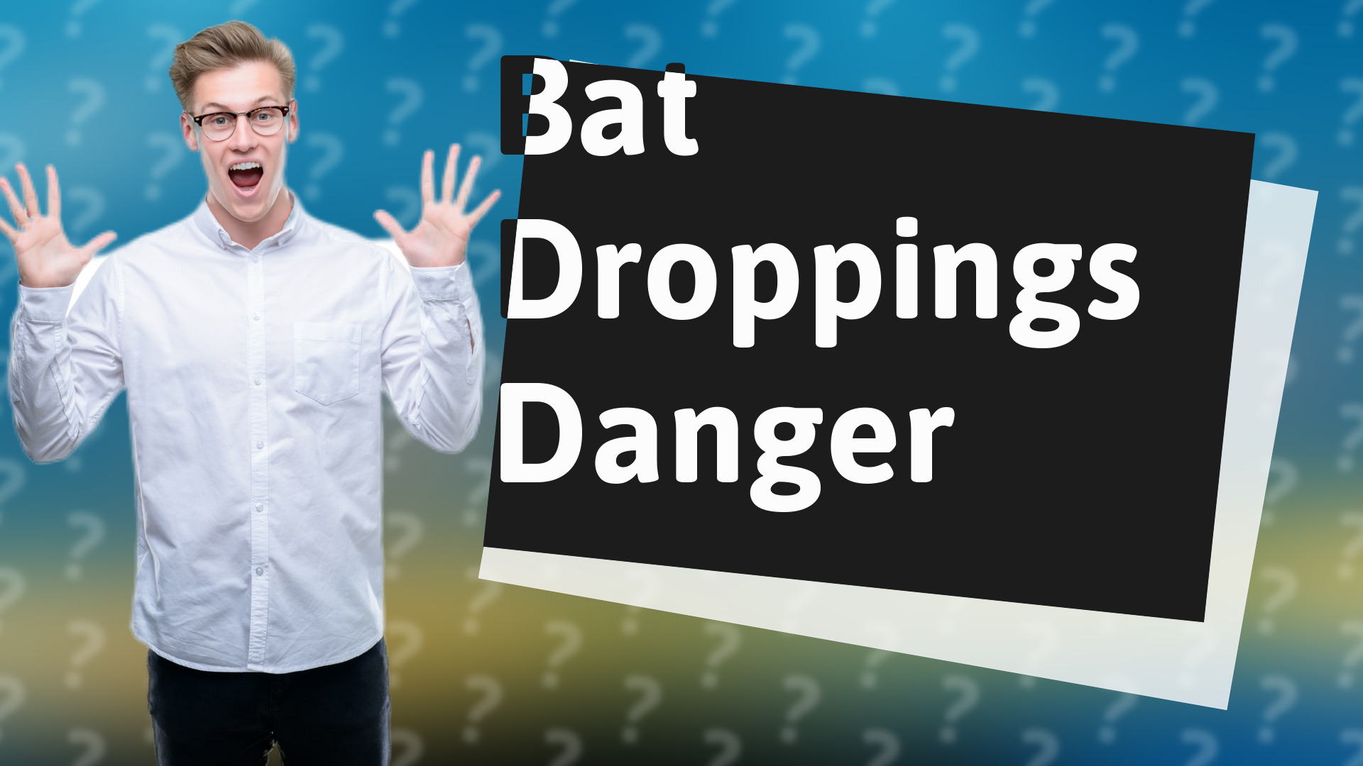 Bat Droppings Danger