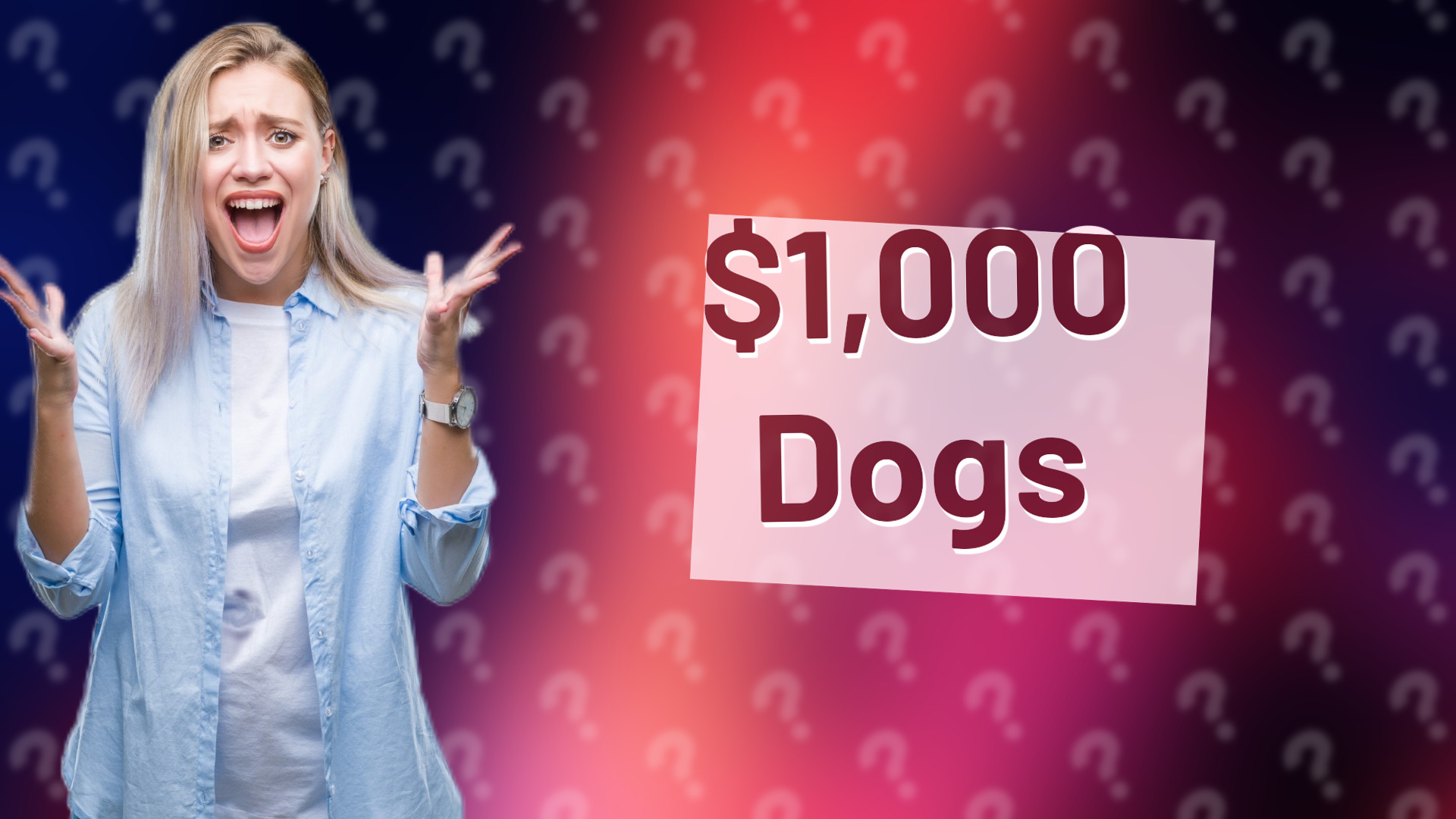 $1,000 Dogs
