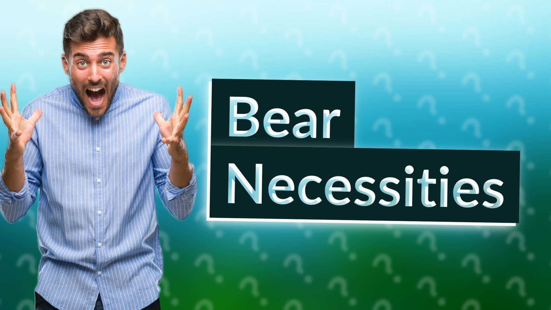 Bear Necessities