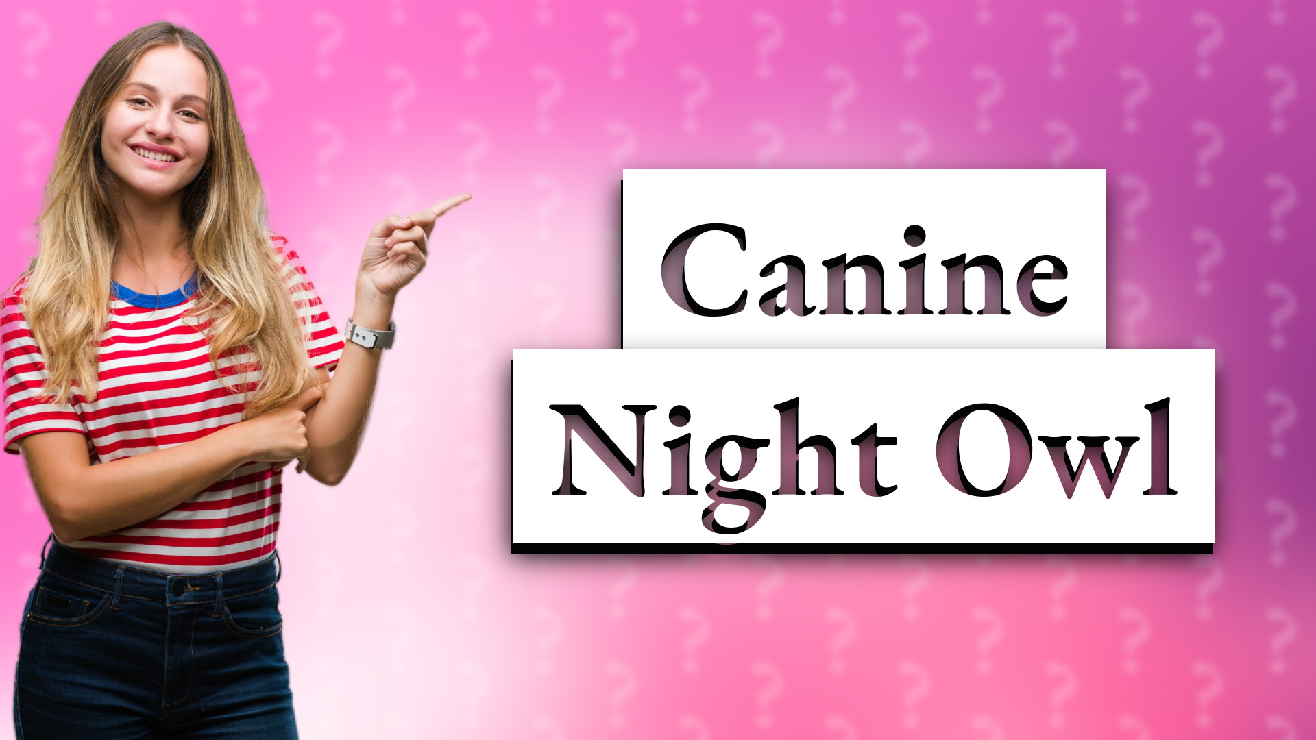 Canine Night Owl