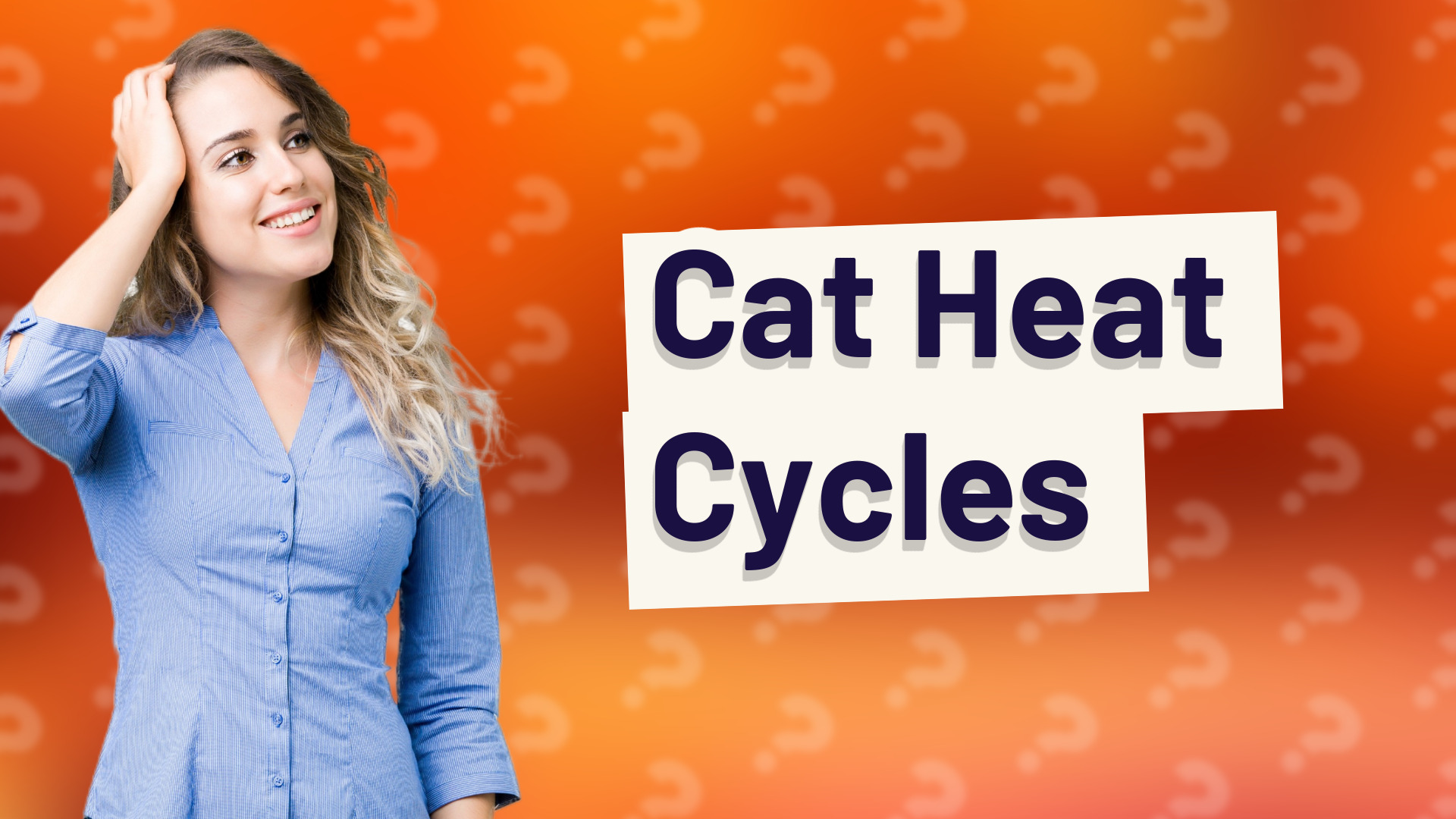 Cat Heat Cycles